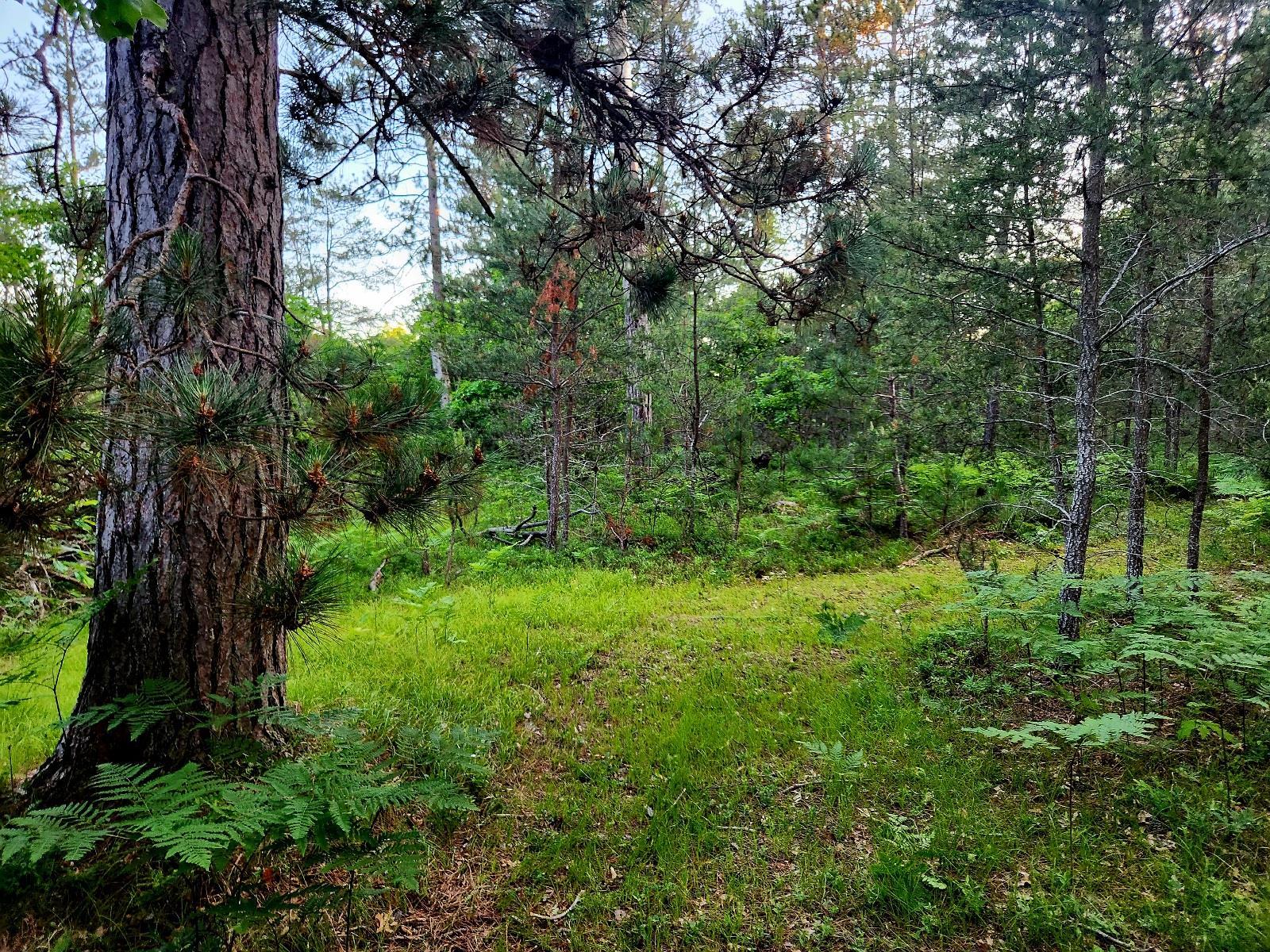 2498 W Five Mile Road Property Photo 31