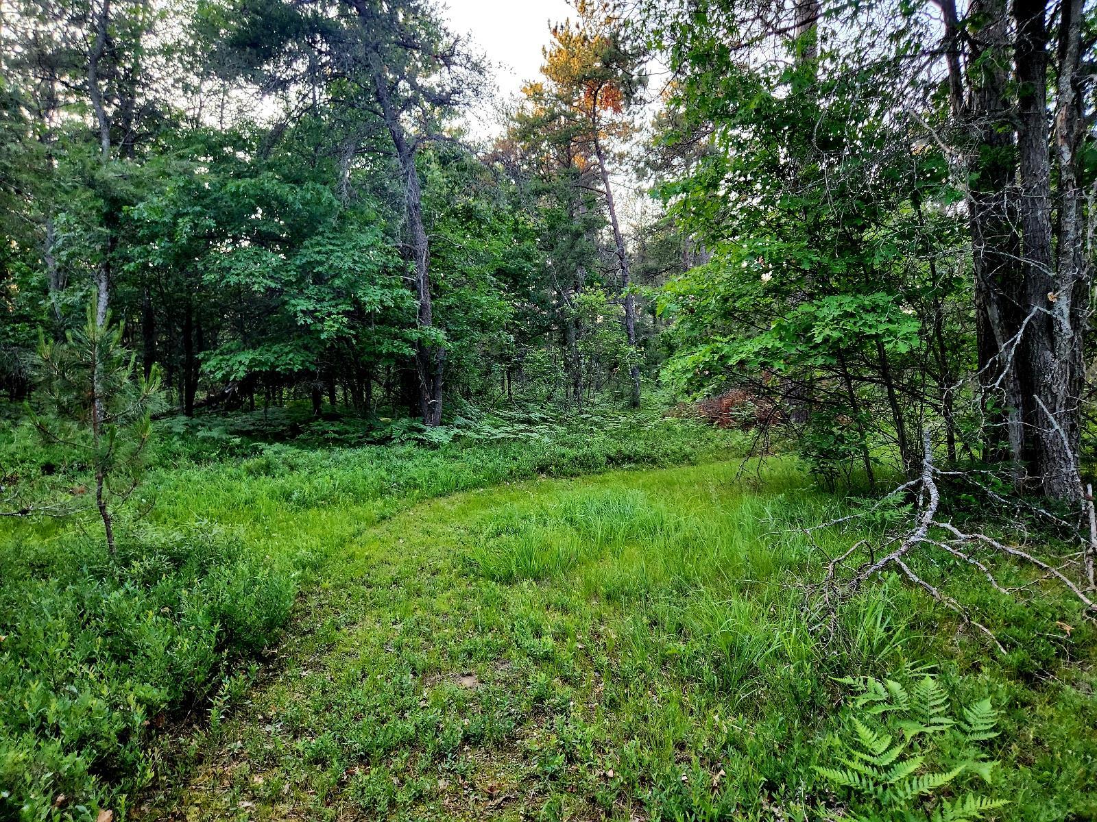 2498 W Five Mile Road Property Photo 33