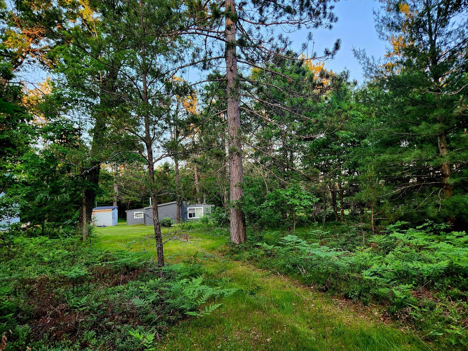 2498 W Five Mile Road Property Photo 34