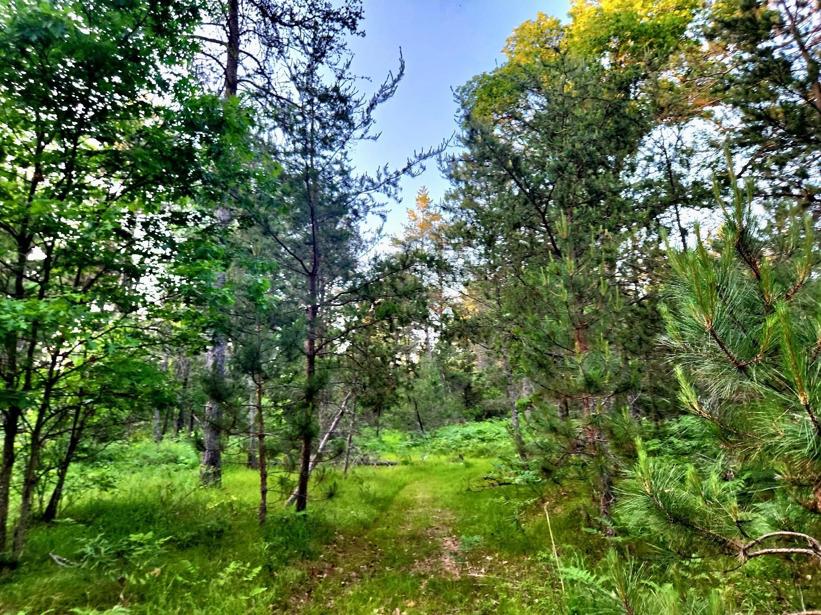 2498 W Five Mile Road Property Photo 35