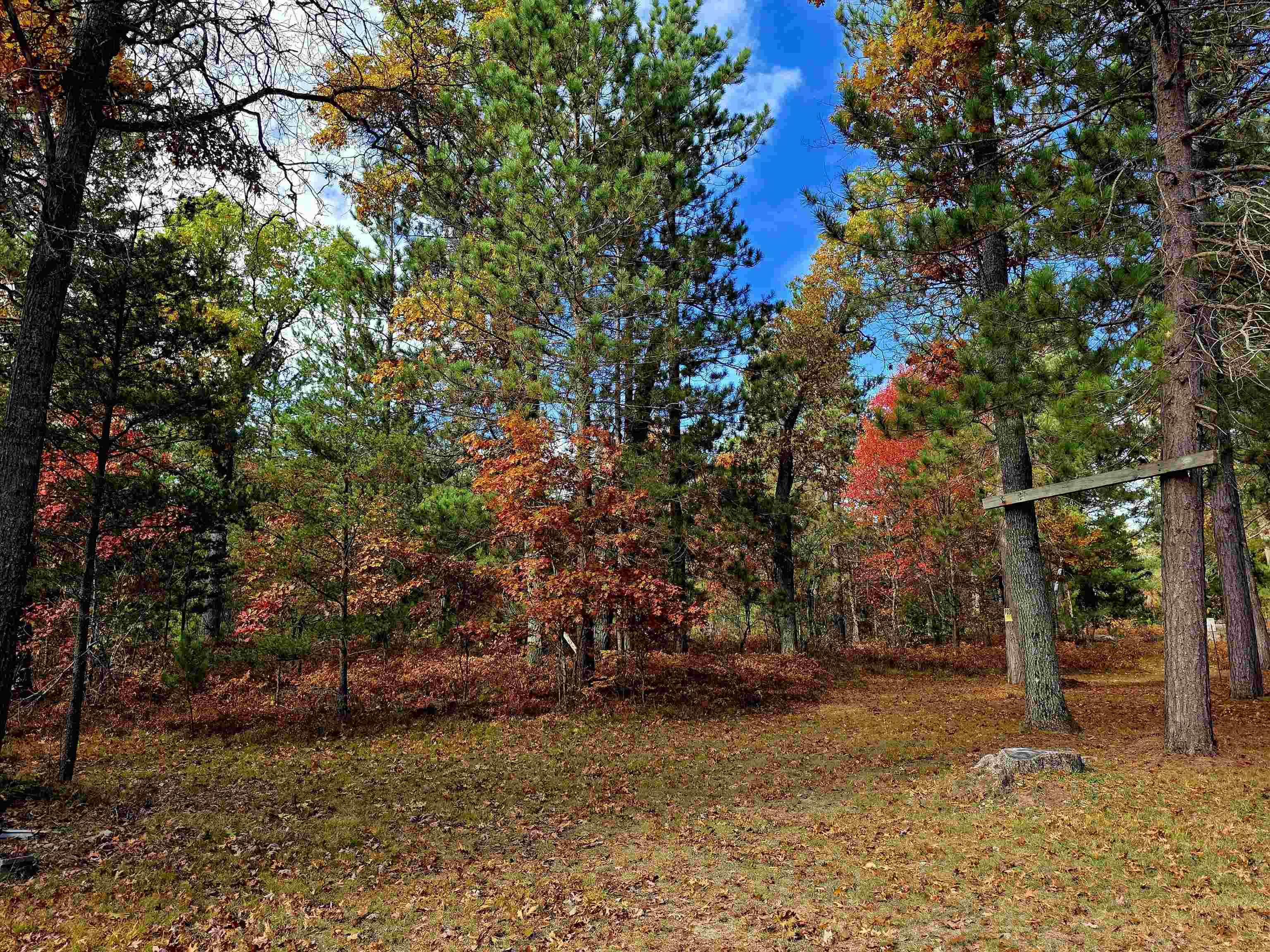 2498 W Five Mile Road Property Photo 40