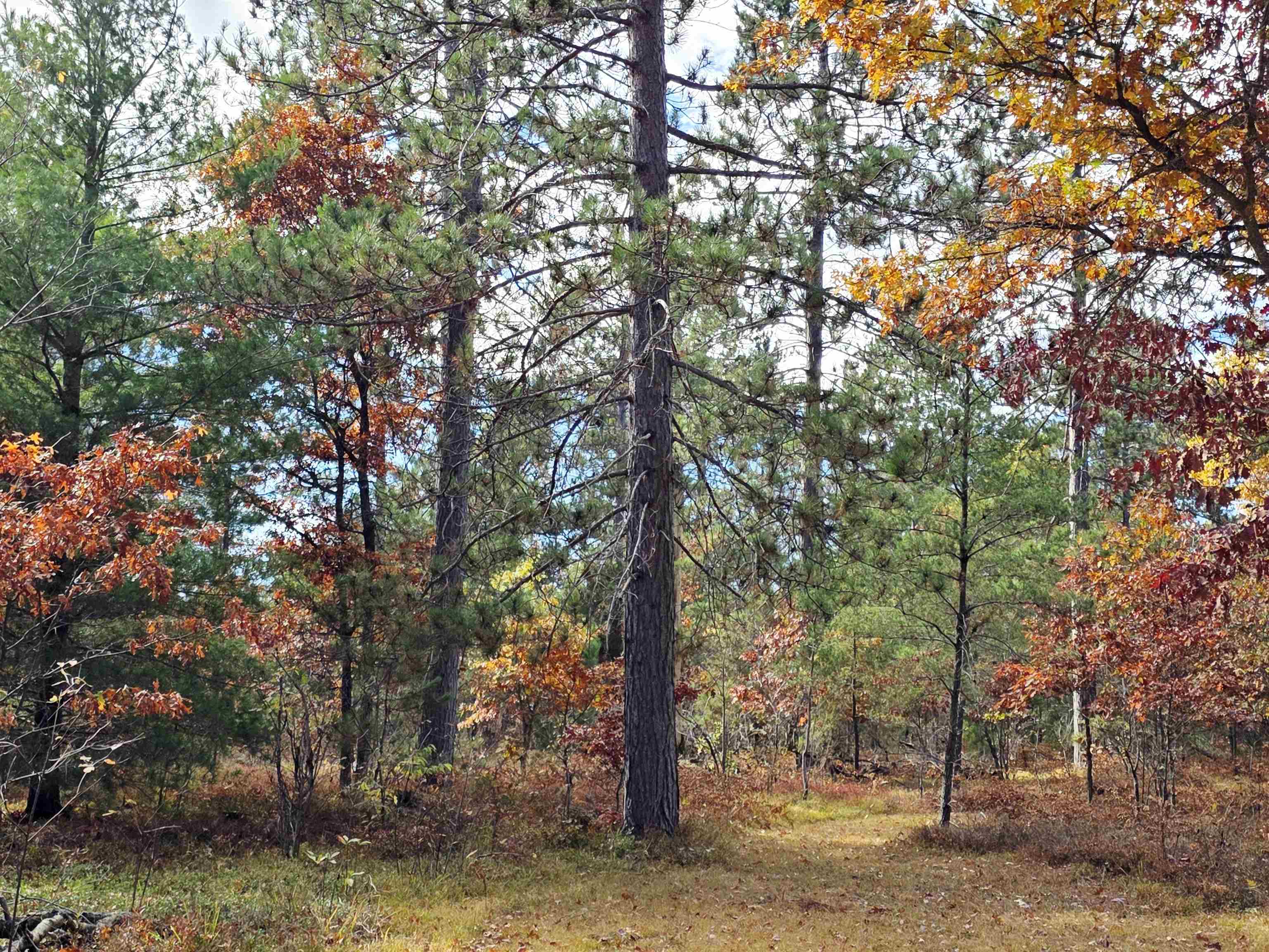 2498 W Five Mile Road Property Photo 41