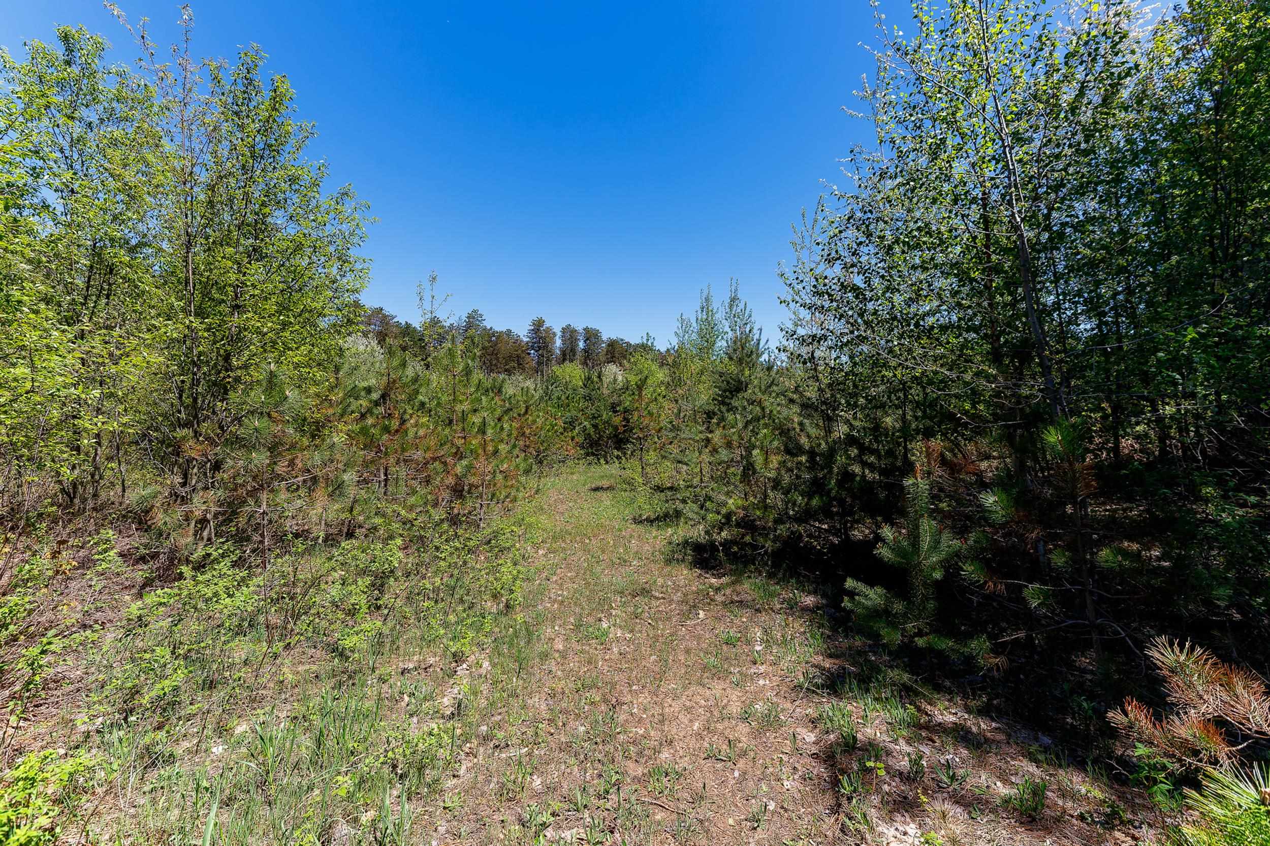 3219 Nugent Road Property Photo 3