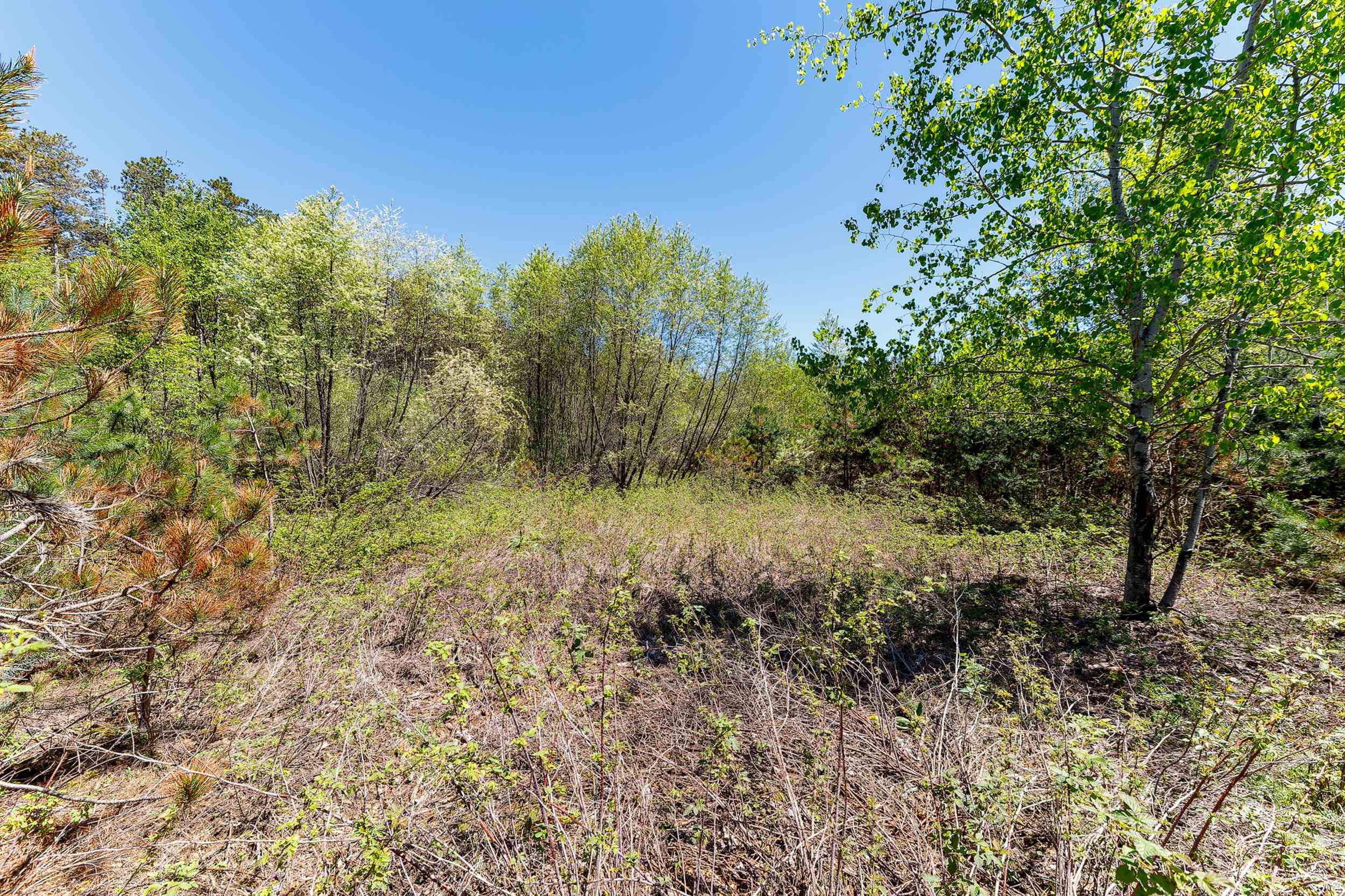 3219 Nugent Road Property Photo 6