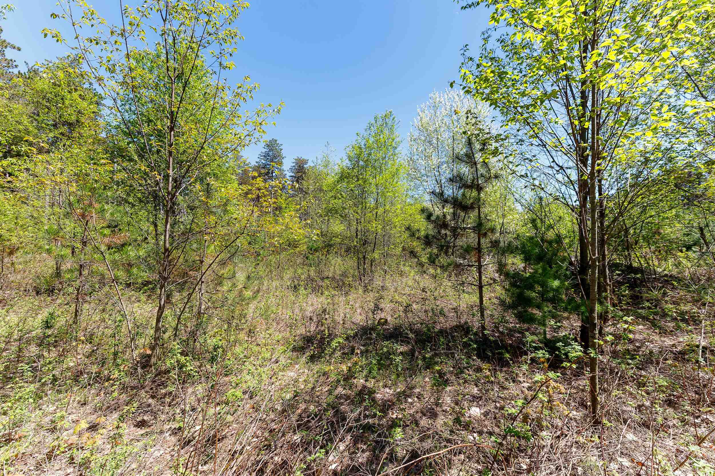 3219 Nugent Road Property Photo 7