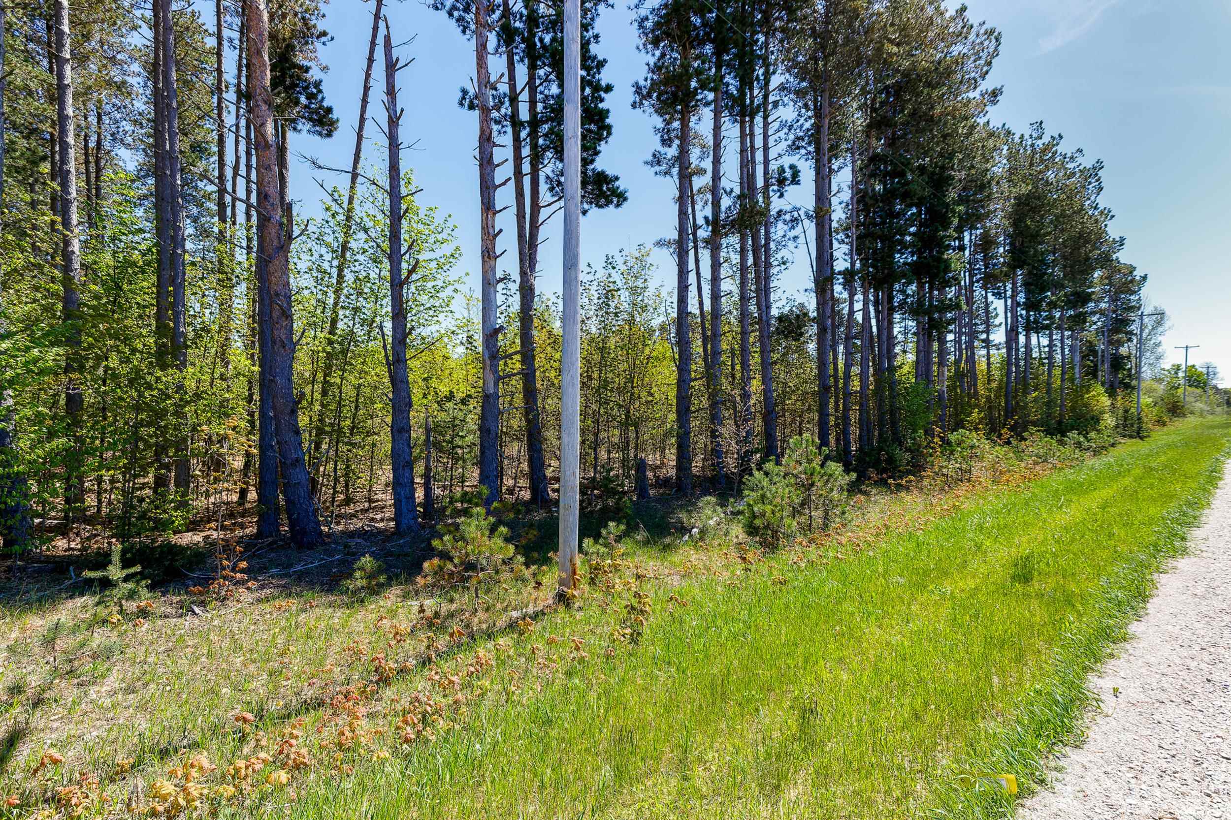 3219 Nugent Road Property Photo 8