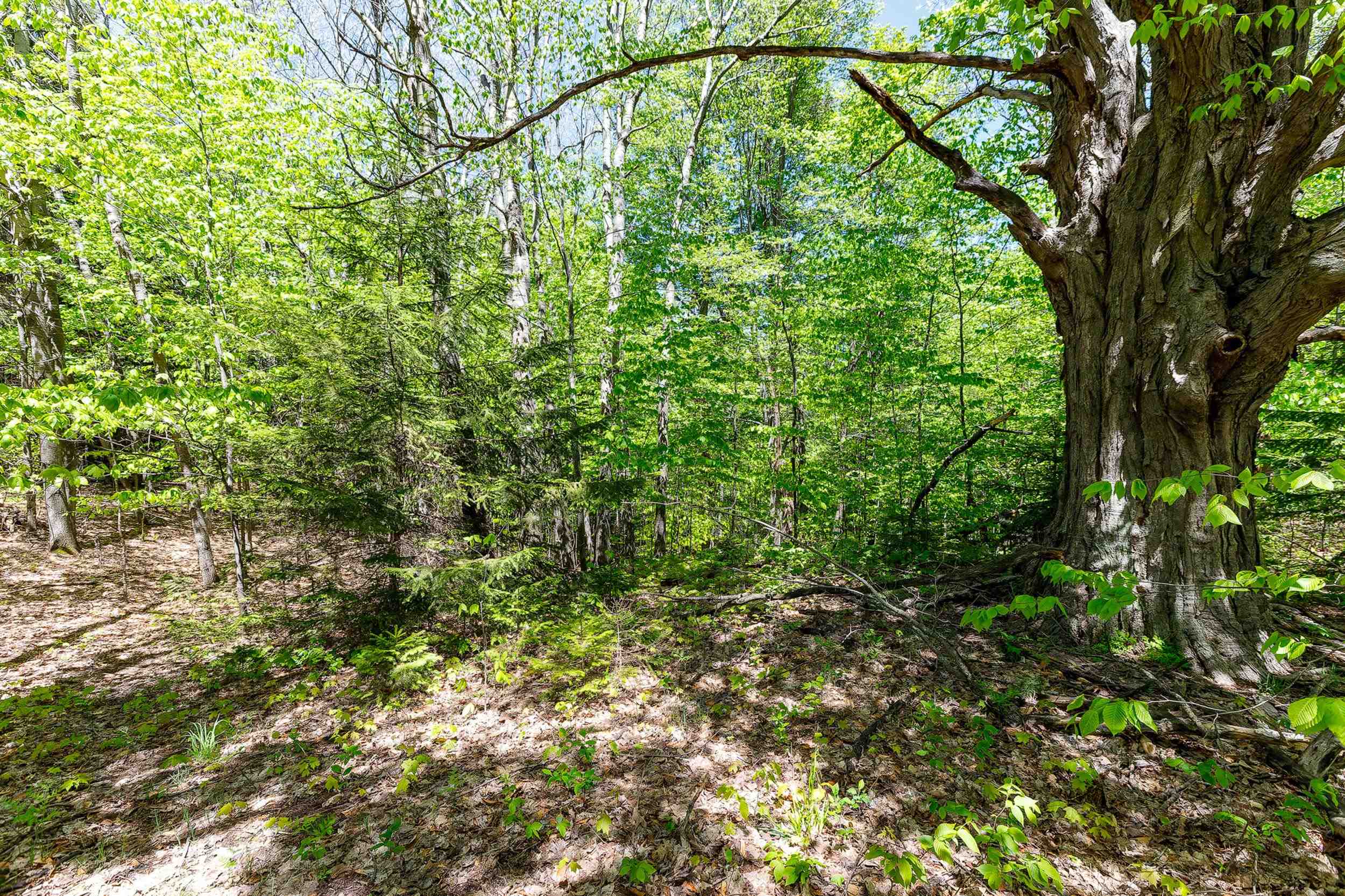 3219 Nugent Road Property Photo 11