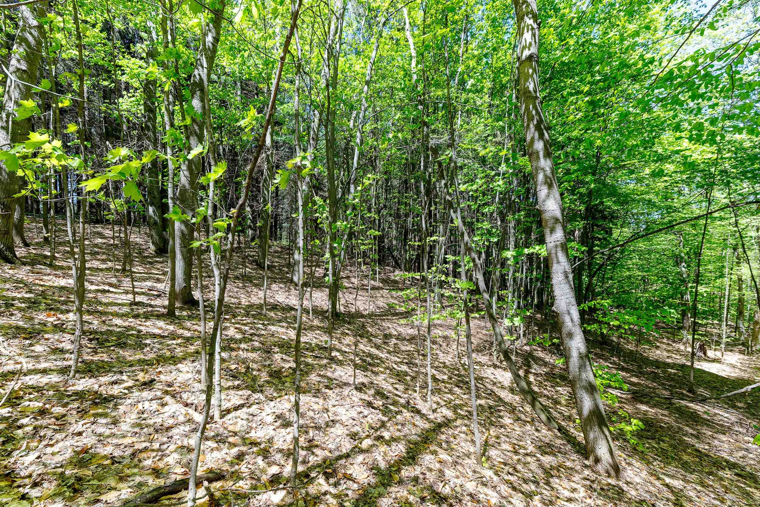 3219 Nugent Road Property Photo 12