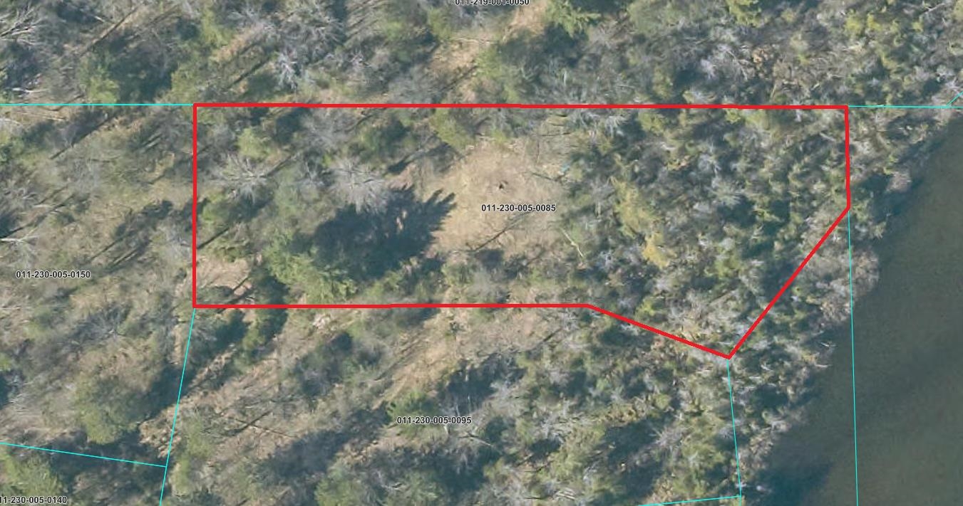 1.24 Acres Snowbowl Road Property Photo 1
