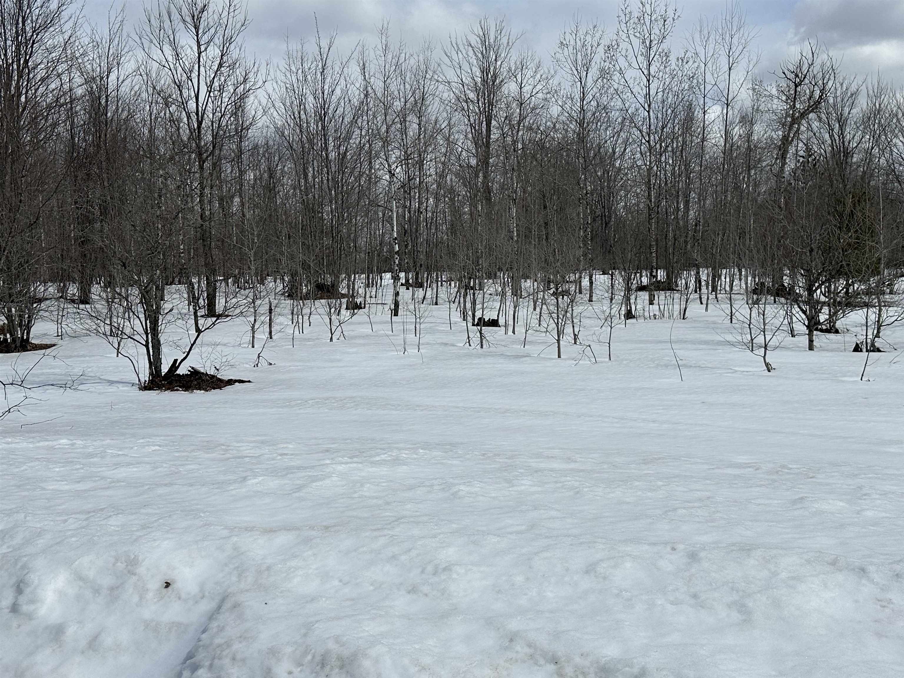 TBD Clarmont Drive Property Photo 1