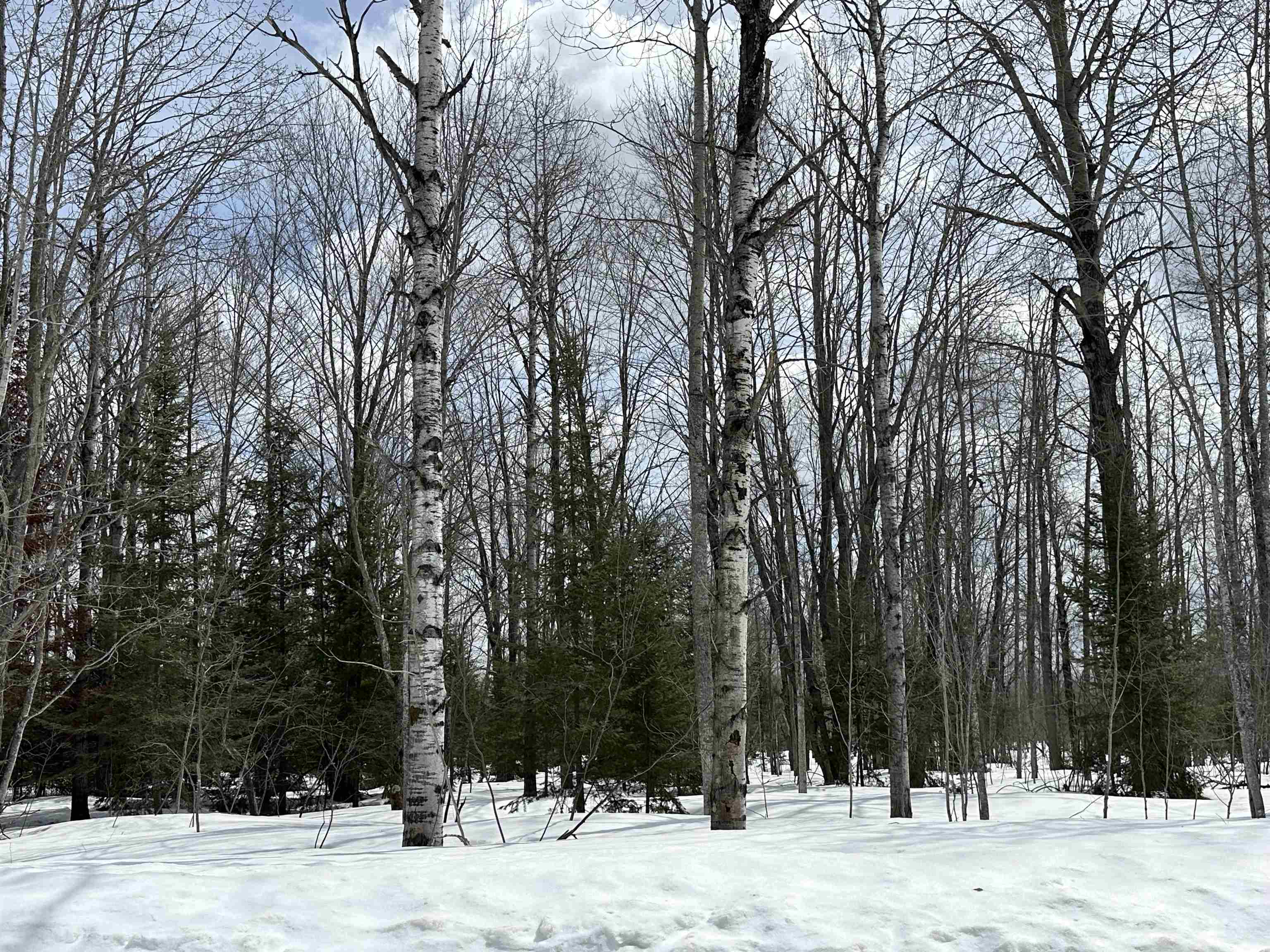TBD Thornton Drive Property Photo 1