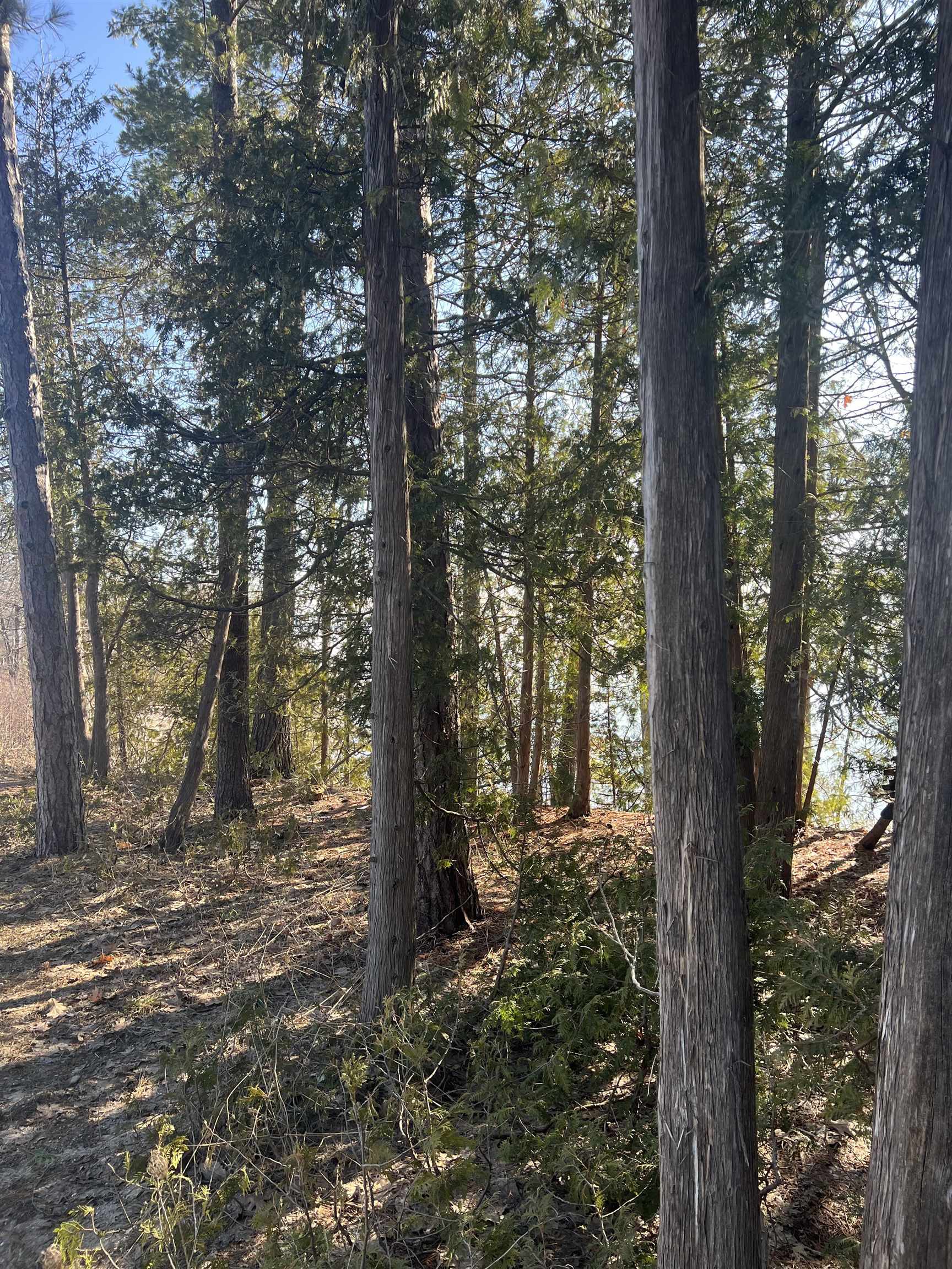 0 M-22 Property Photo 8