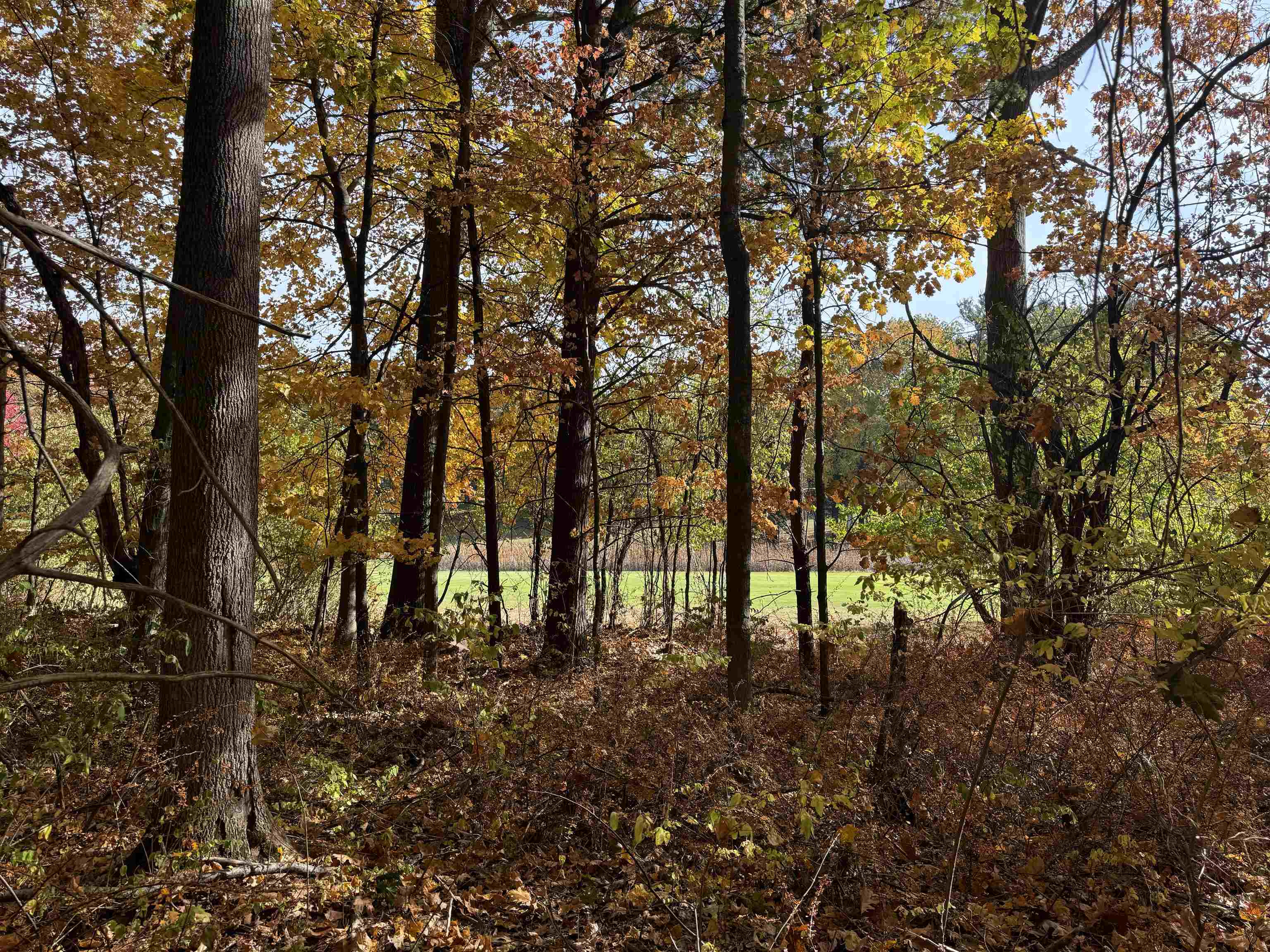 Lot 11 N Country Club Commons Property Photo 6