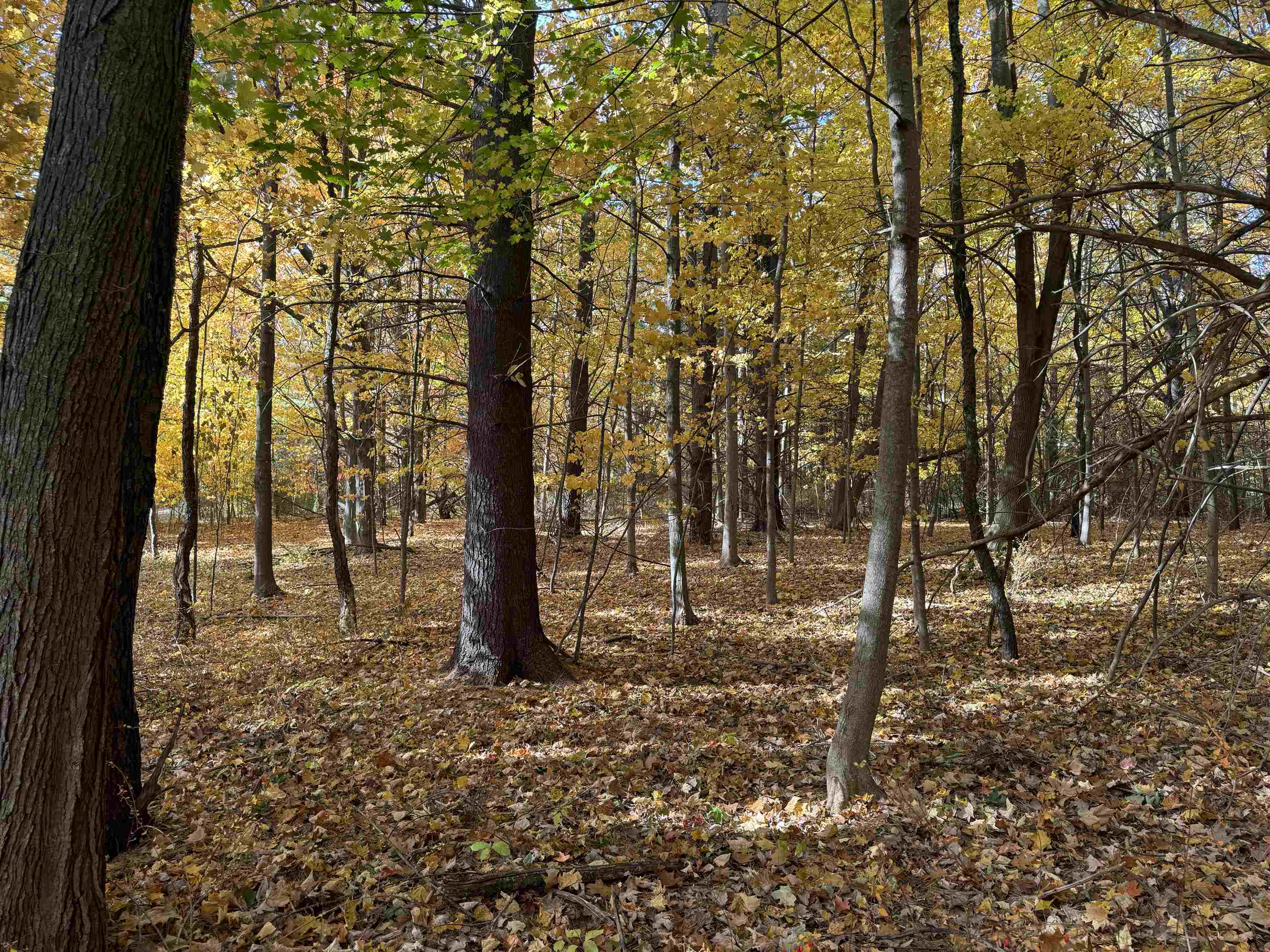 Lot 11 N Country Club Commons Property Photo 7