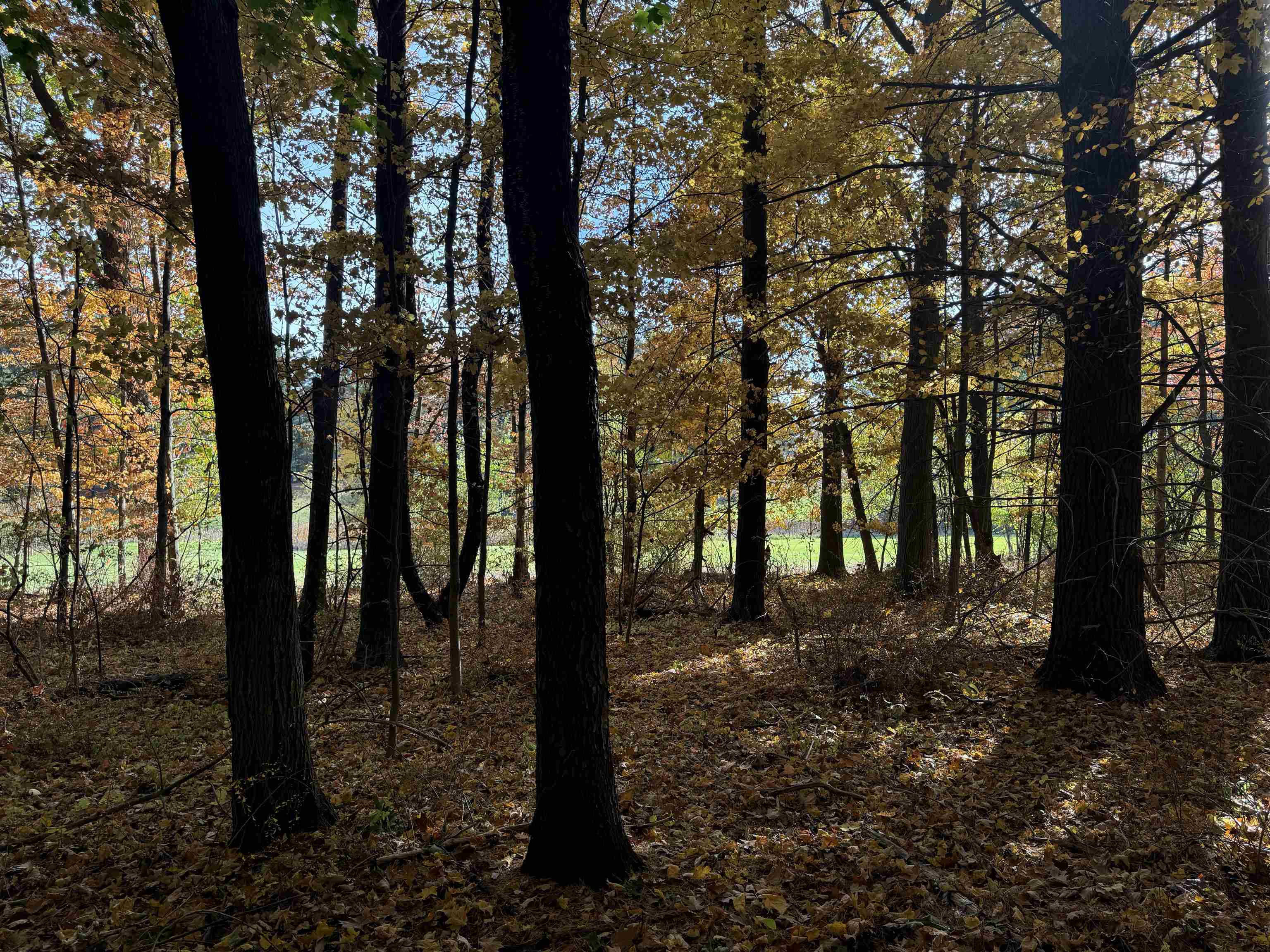 Lot 11 N Country Club Commons Property Photo 8