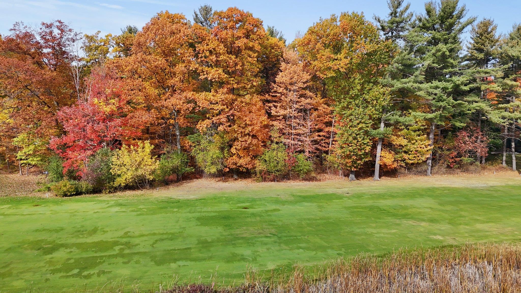 Lot 11 N Country Club Commons Property Photo 12