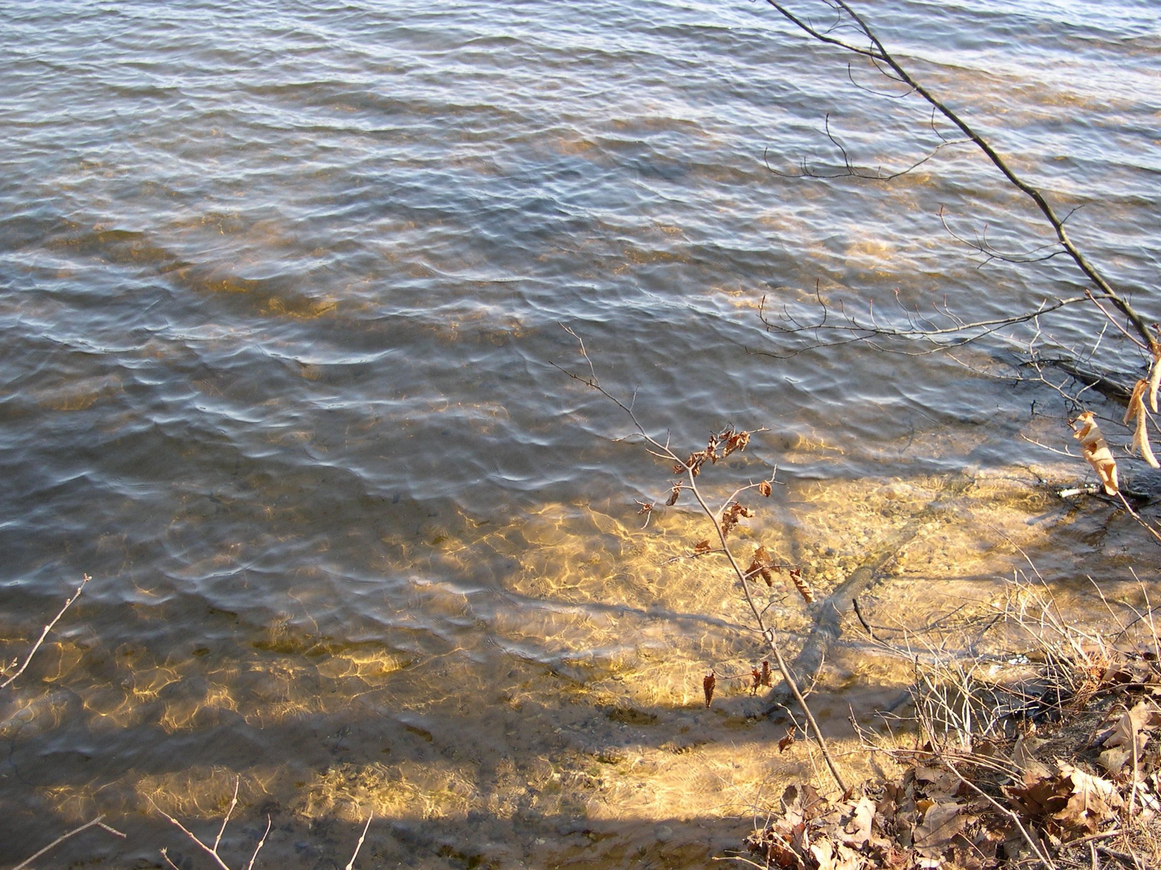 1565 Edgewater Ridge Property Photo 7