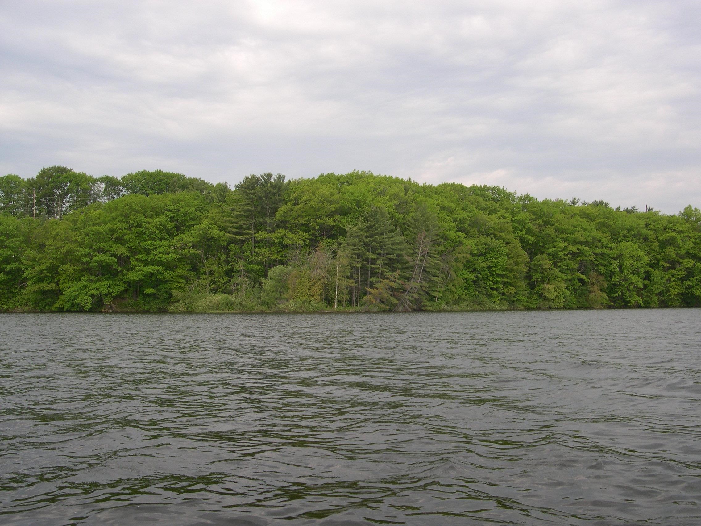 1565 Edgewater Ridge Property Photo 10