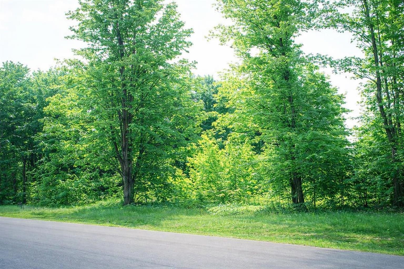8886 Cedar Creek Drive Property Photo 1