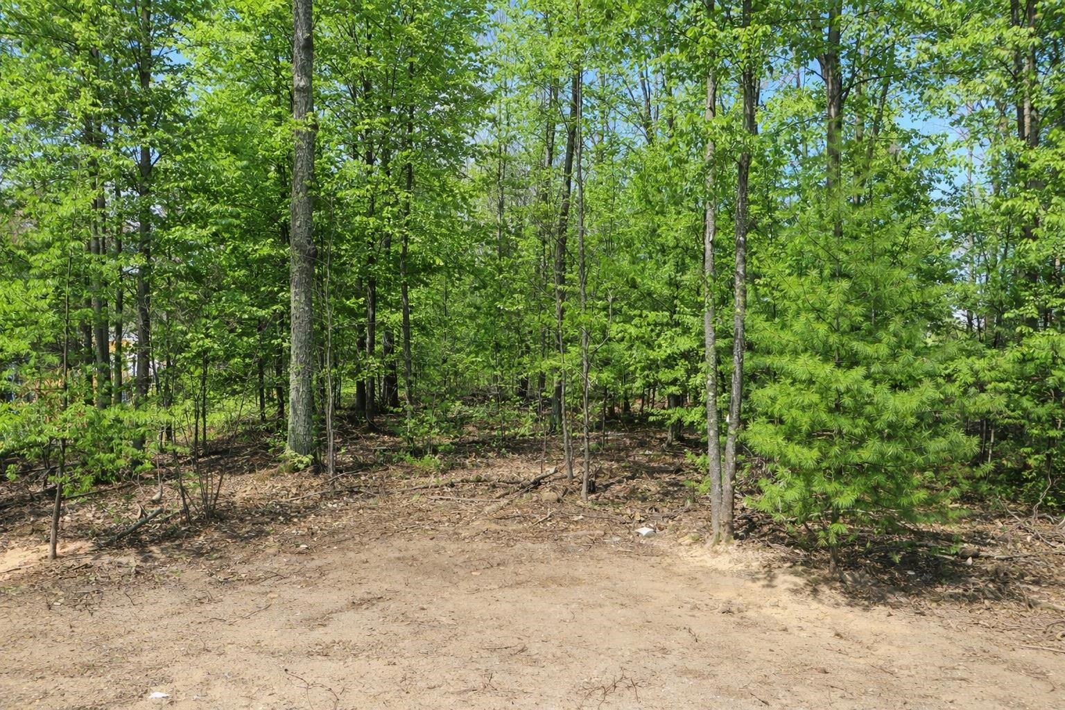 8904 Cedar Creek Drive Property Photo 9