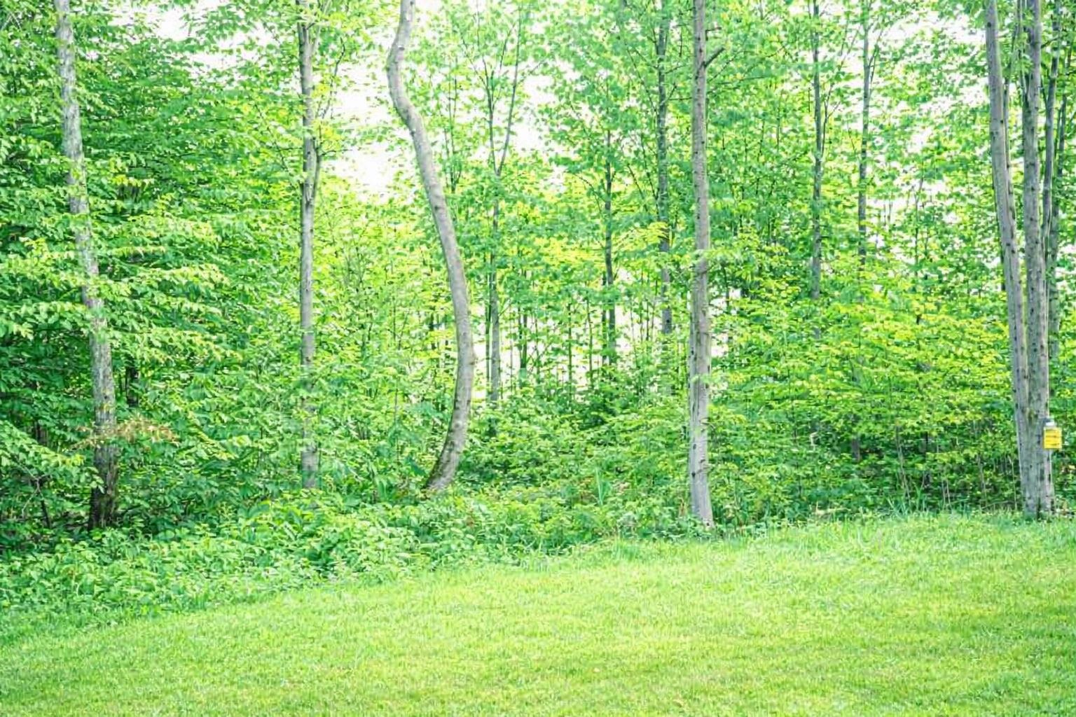8922 Cedar Creek Drive Property Photo 1