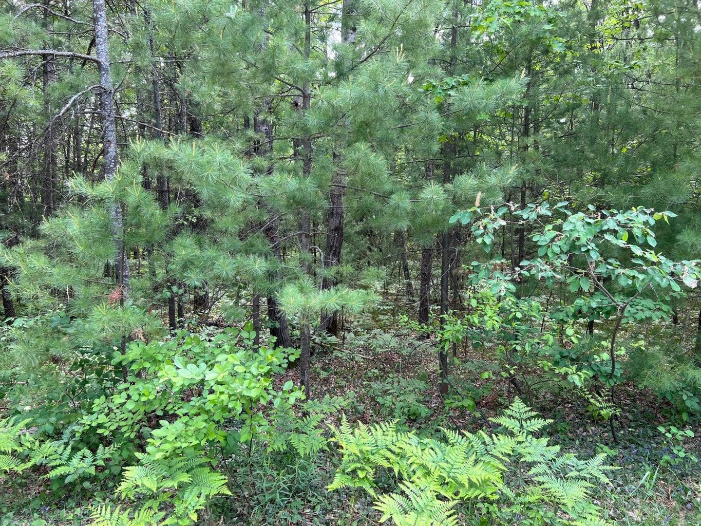 Helen Drive Property Photo 2