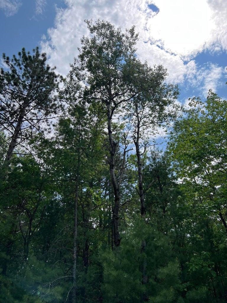 Helen Drive Property Photo 3