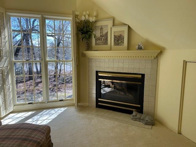 4722 Kingswood Lane Property Photo 77