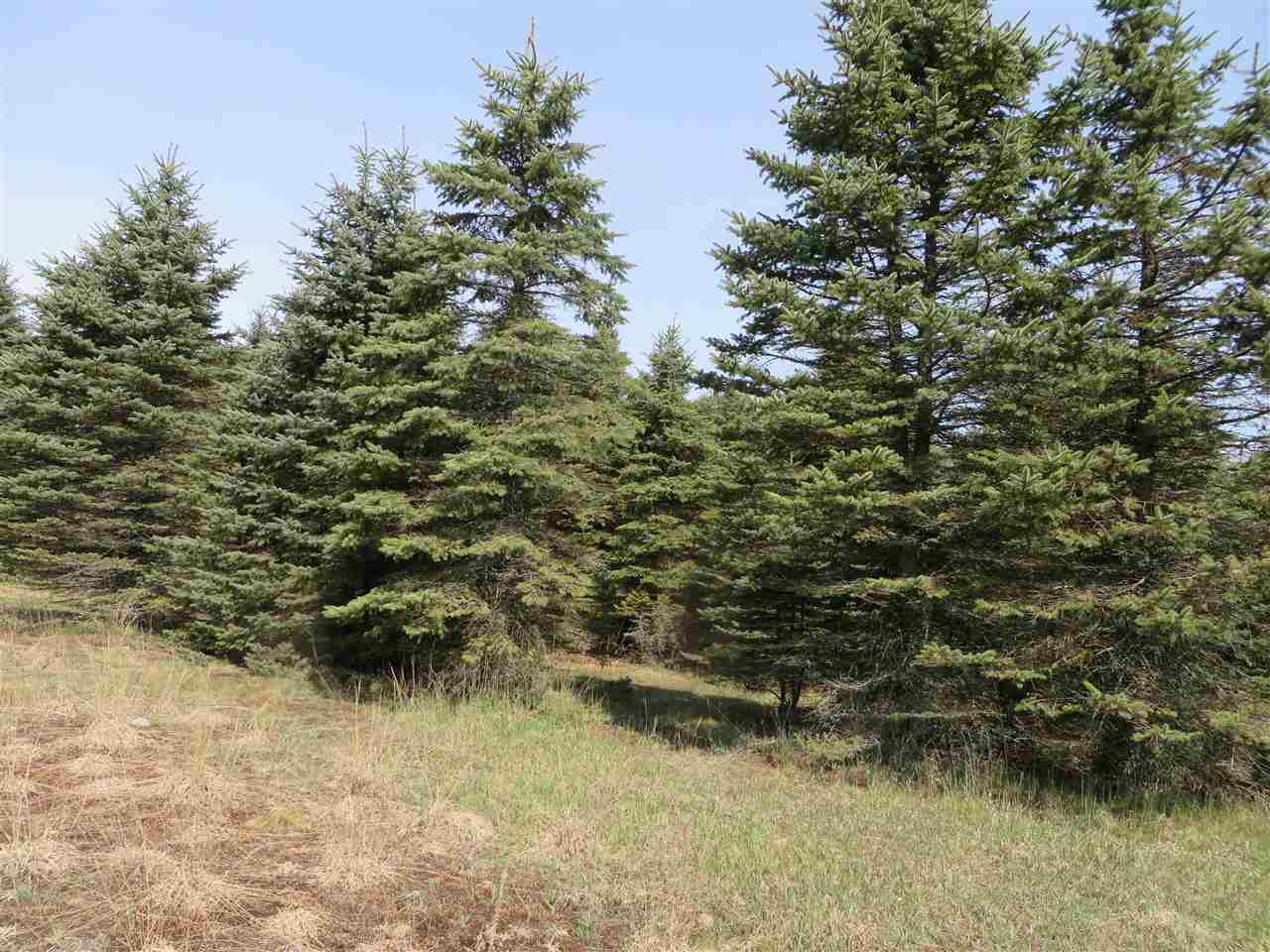 4 Spruce Hollow Trace Property Photo 1
