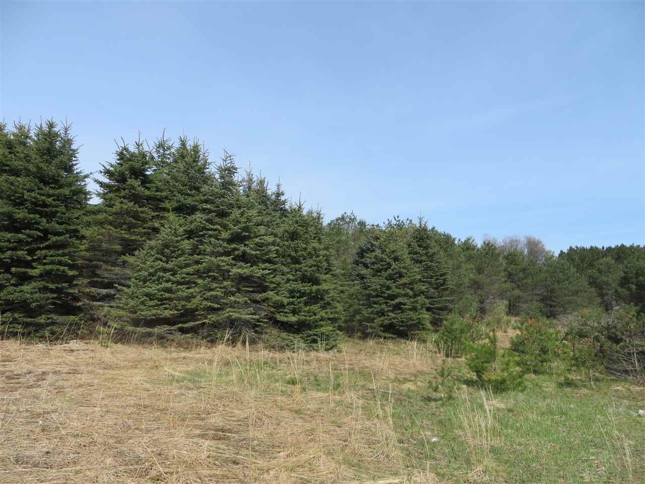 4 Spruce Hollow Trace Property Photo 4