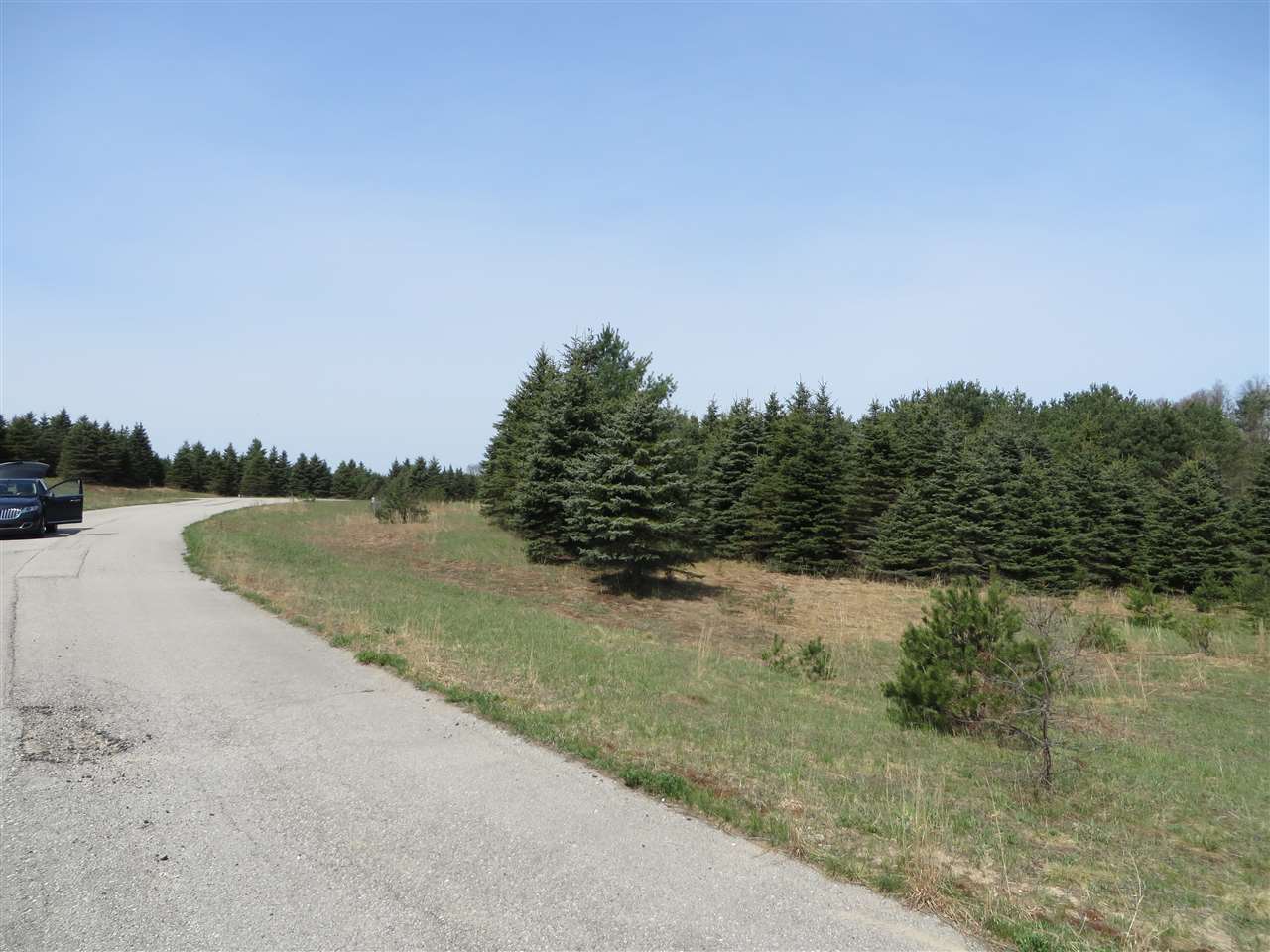 4 Spruce Hollow Trace Property Photo 5