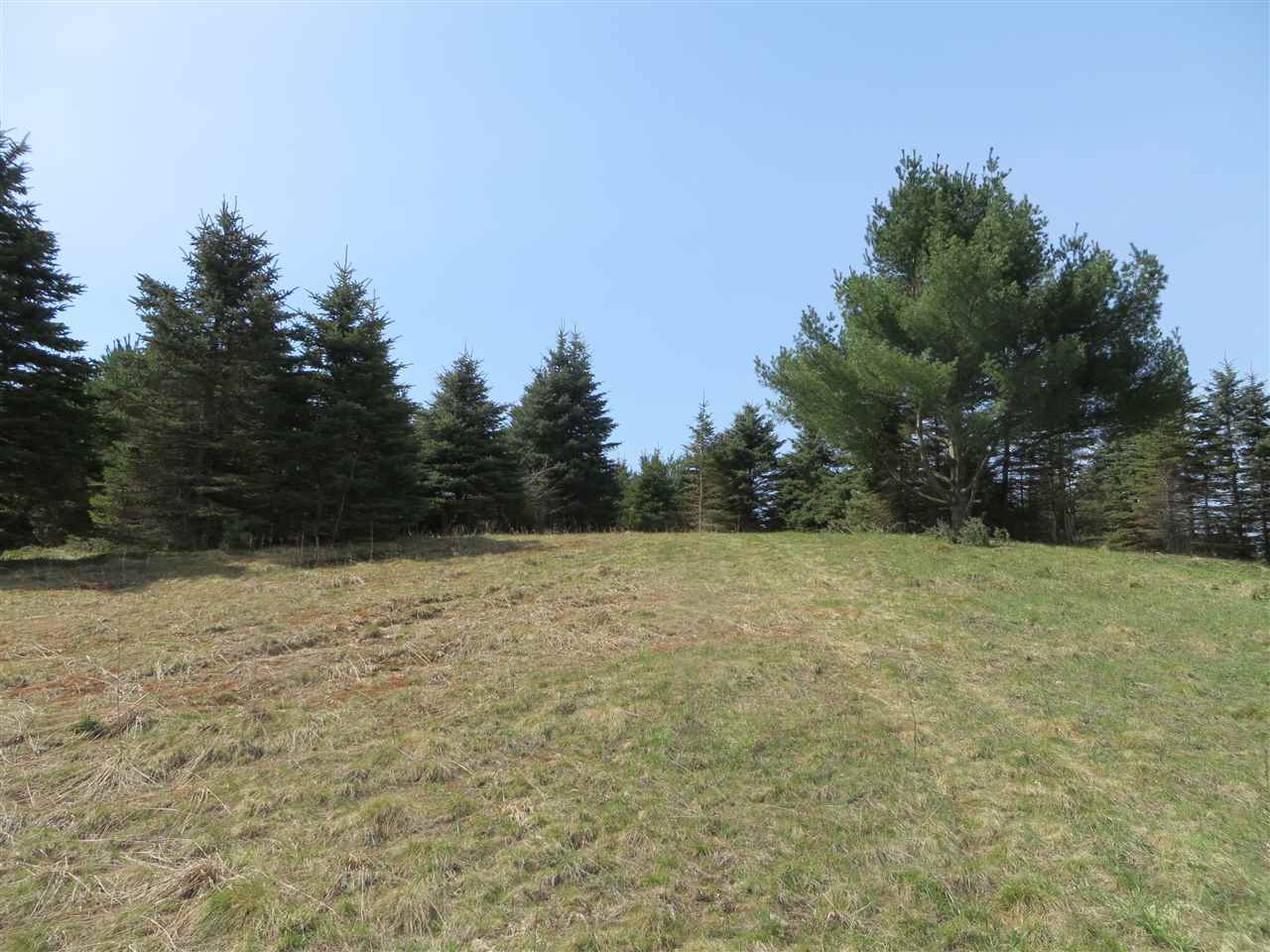 4 Spruce Hollow Trace Property Photo 9
