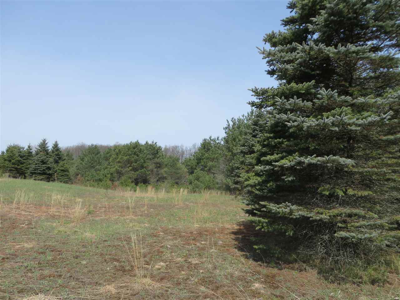 4 Spruce Hollow Trace Property Photo 10