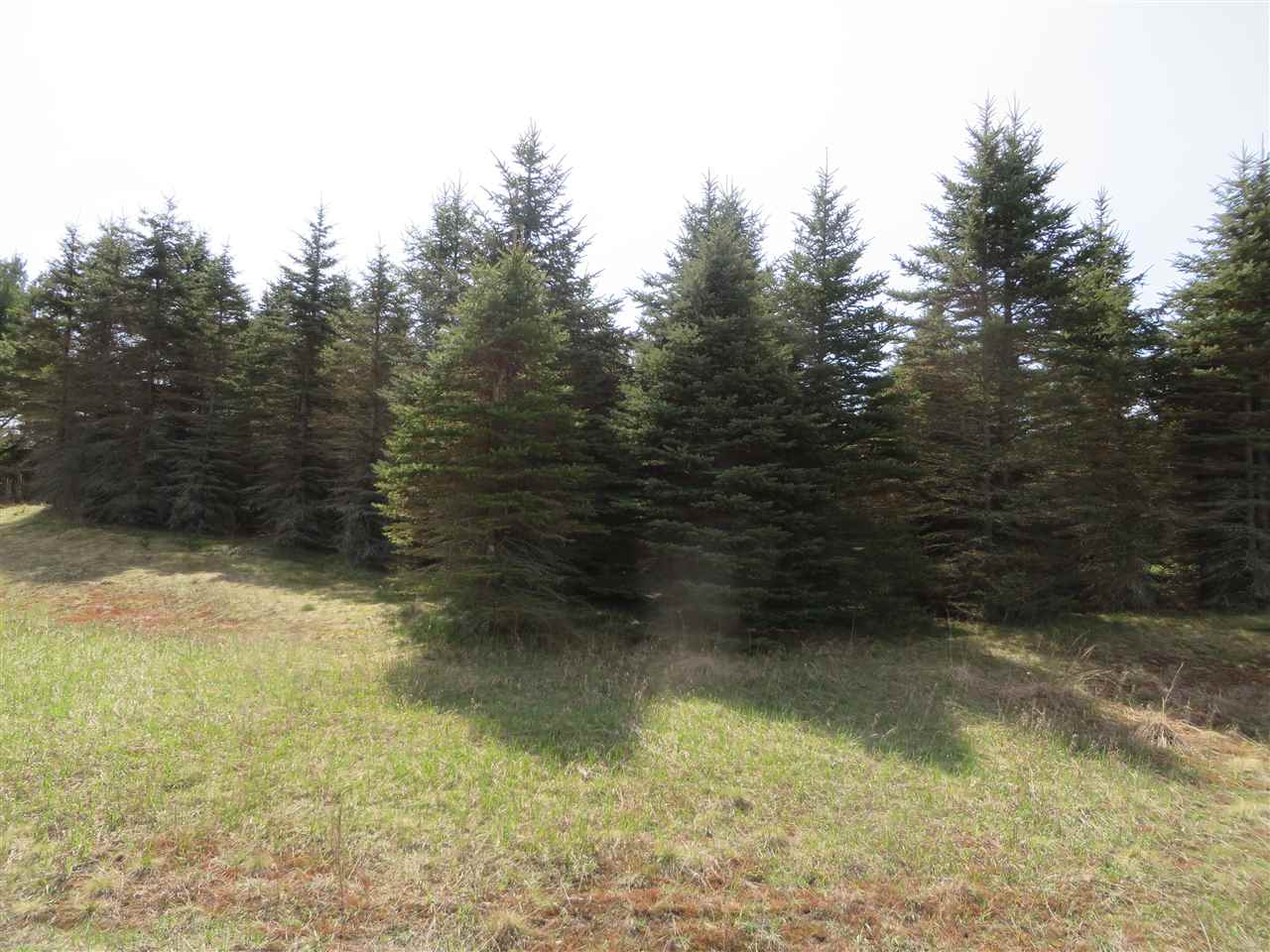 4 Spruce Hollow Trace Property Photo 11