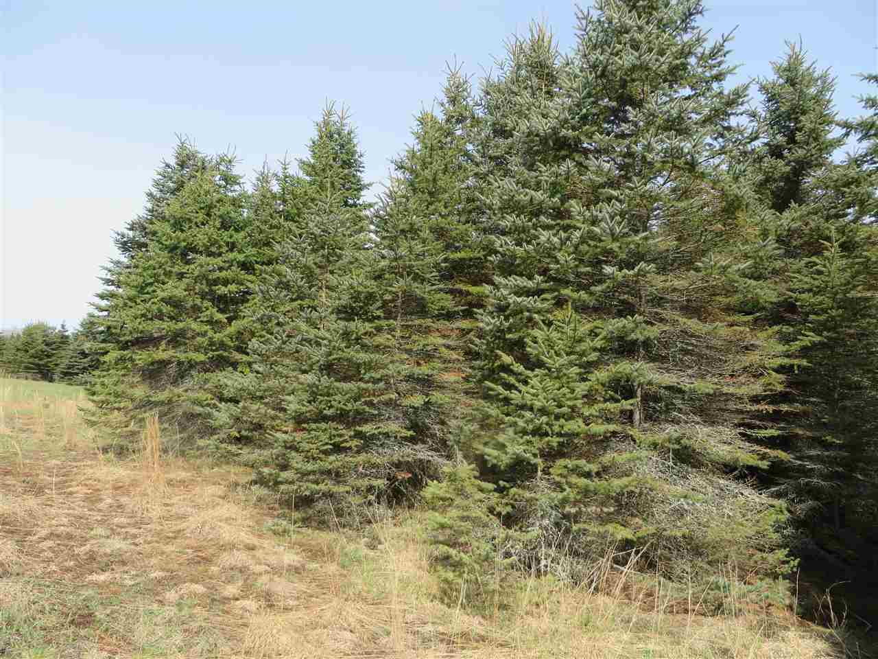 4 Spruce Hollow Trace Property Photo 13