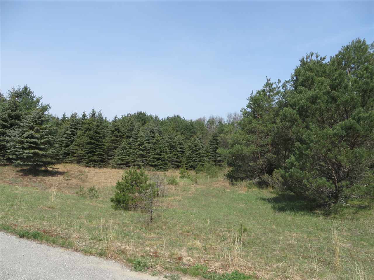 4 Spruce Hollow Trace Property Photo 14