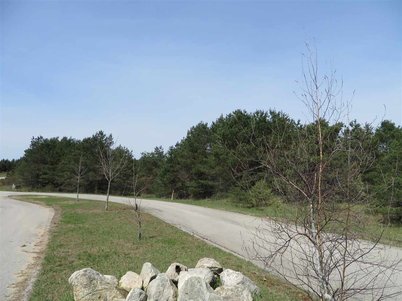 4 Spruce Hollow Trace Property Photo 16