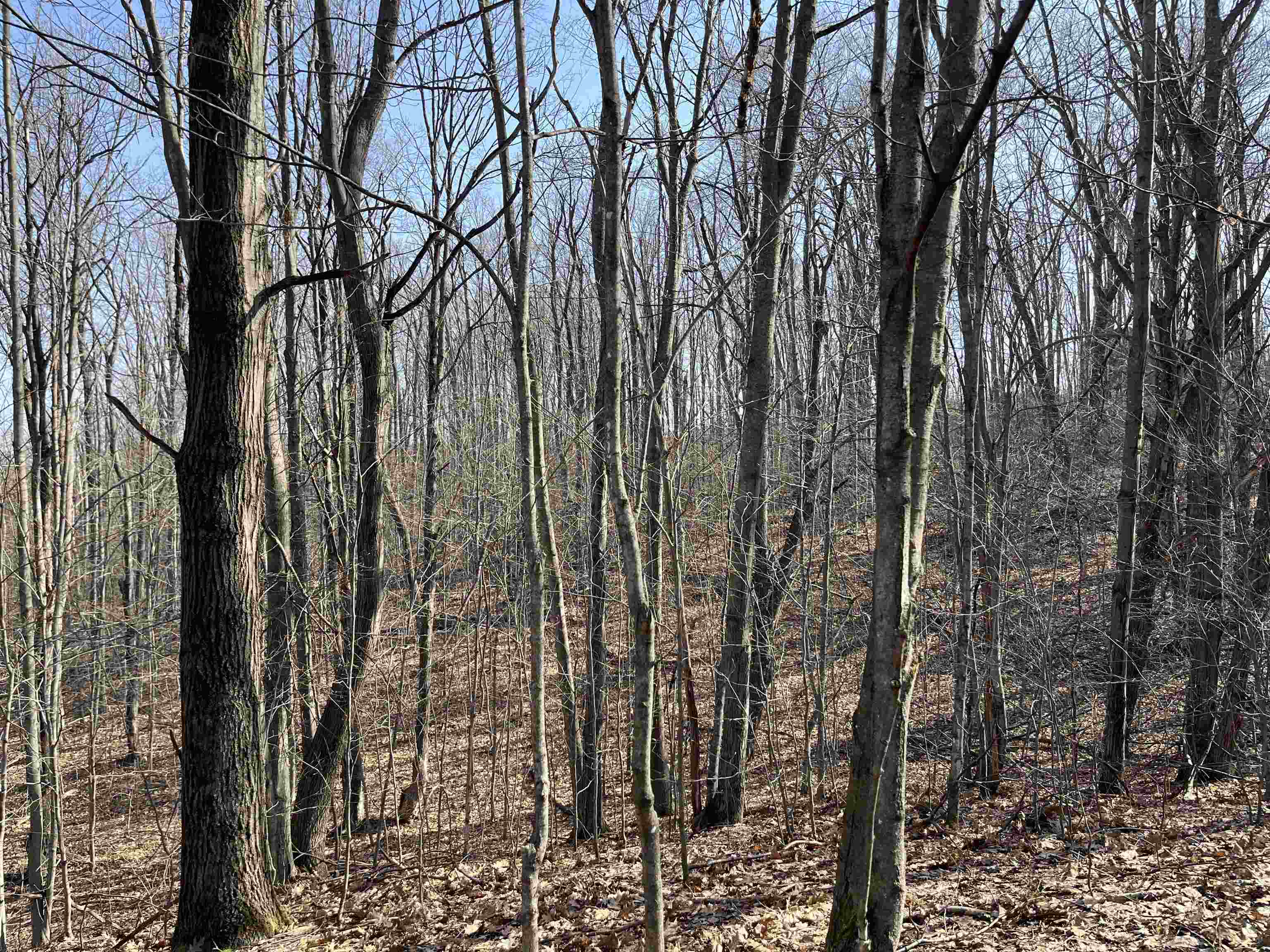 Deerfield Trail