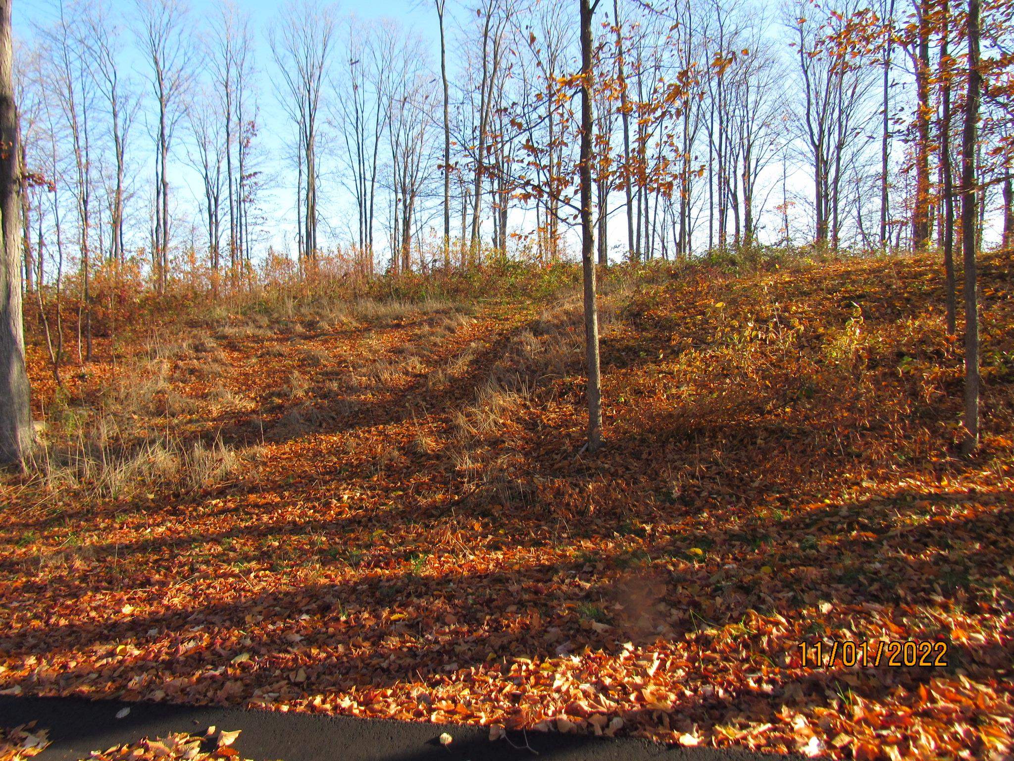 ***** Buckaroo Trail Property Photo 12