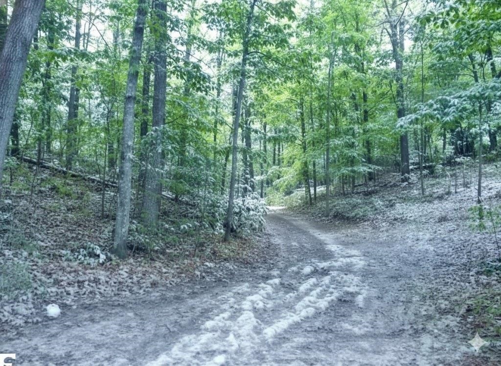 ***** Buckaroo Trail Property Photo 13