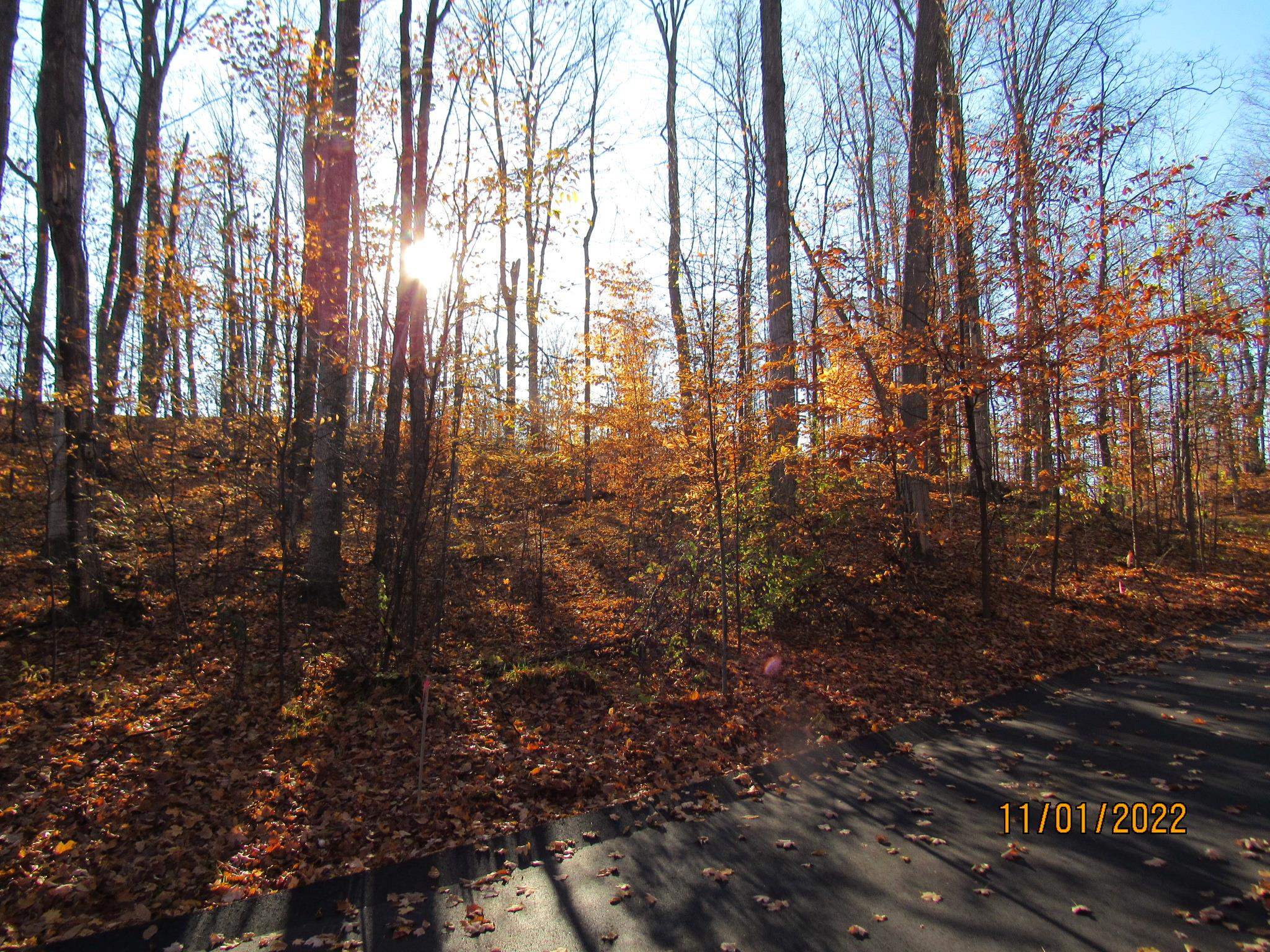 ***** Buckaroo Trail Property Photo 16