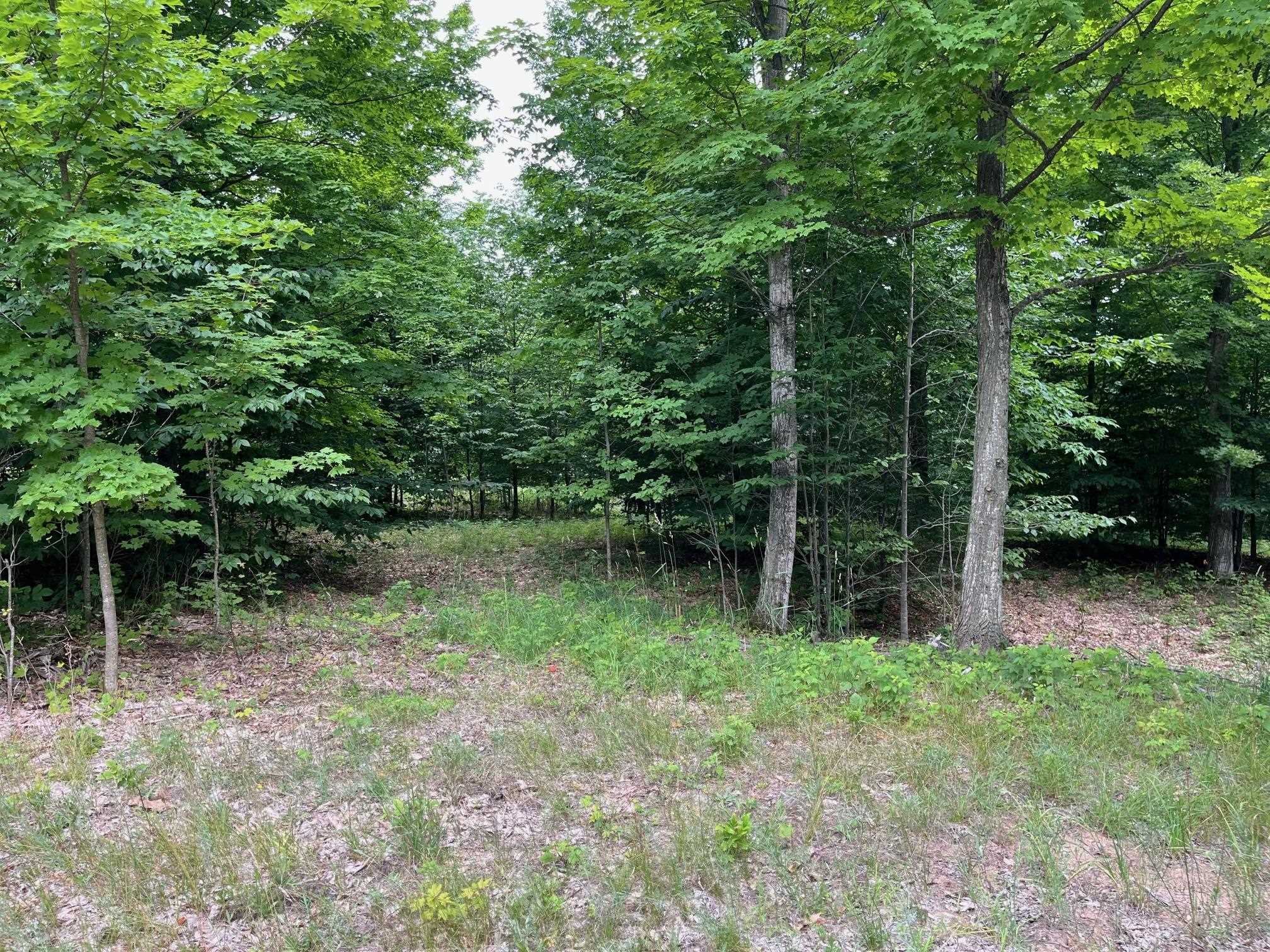 11 W Timber View Trail Property Photo 1