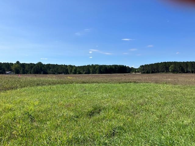 ***** Buckaroo Trail Property Photo 4