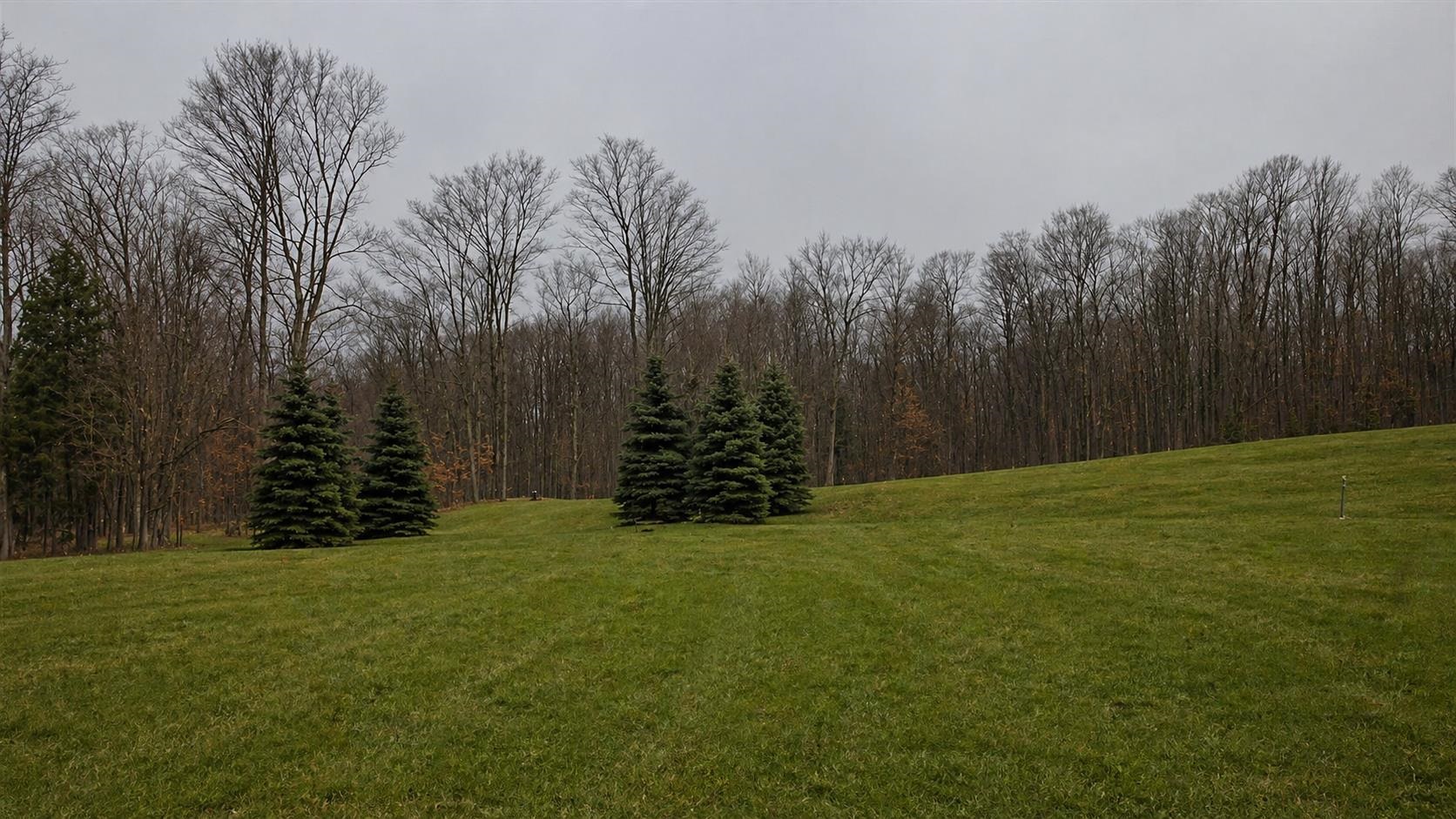 ***** Buckaroo Trail Property Photo 6