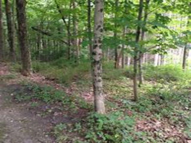 ***** Buckaroo Trail Property Photo 2