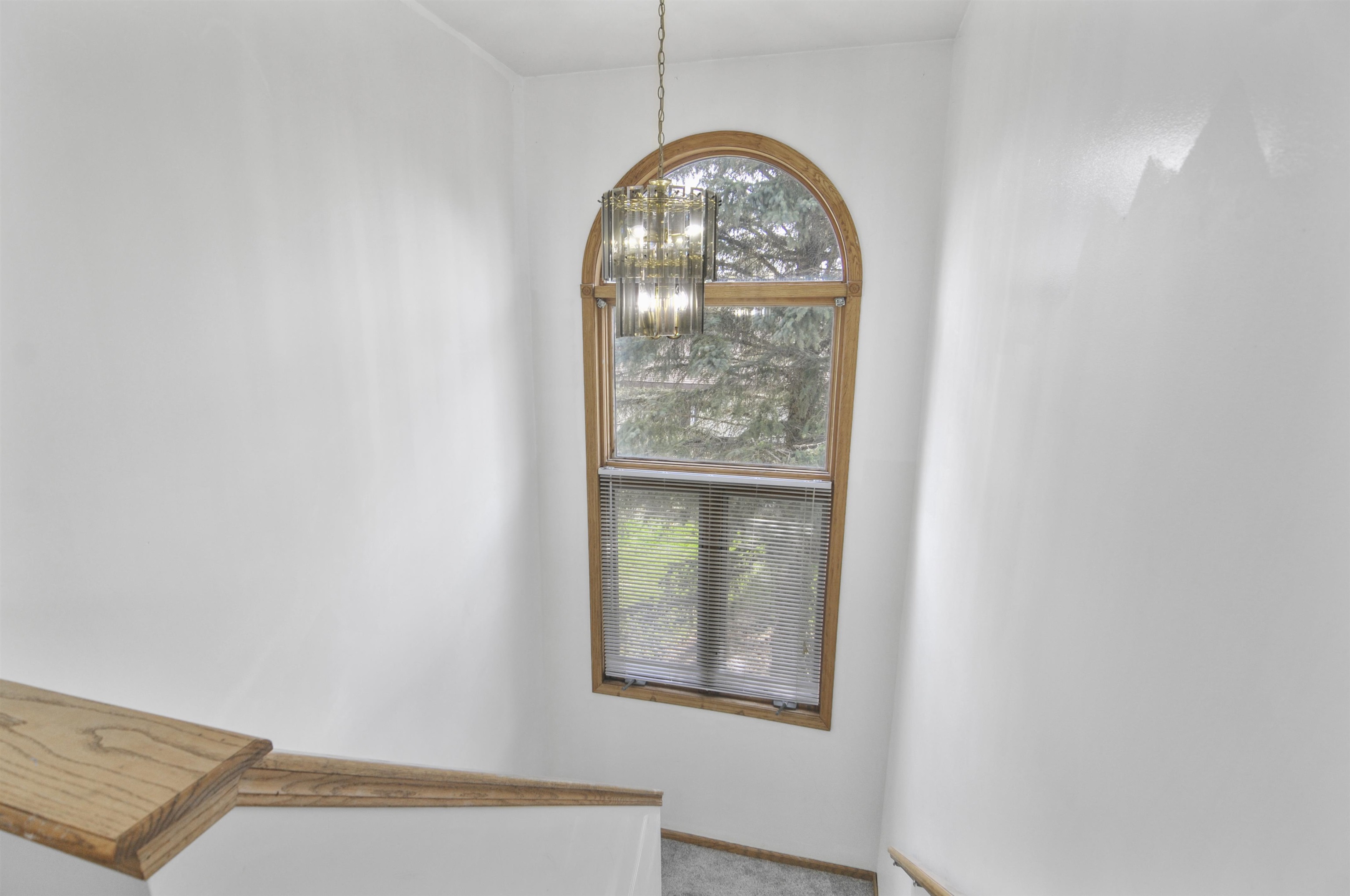 221 Wildwood Drive Property Photo 22