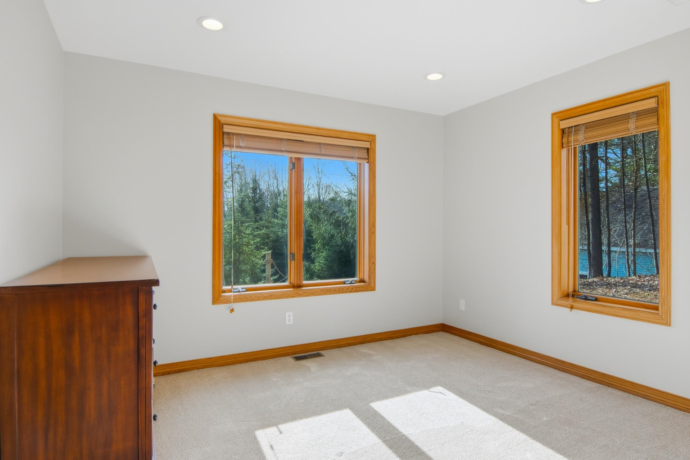 4473 Paper Birch Lane Property Photo 22