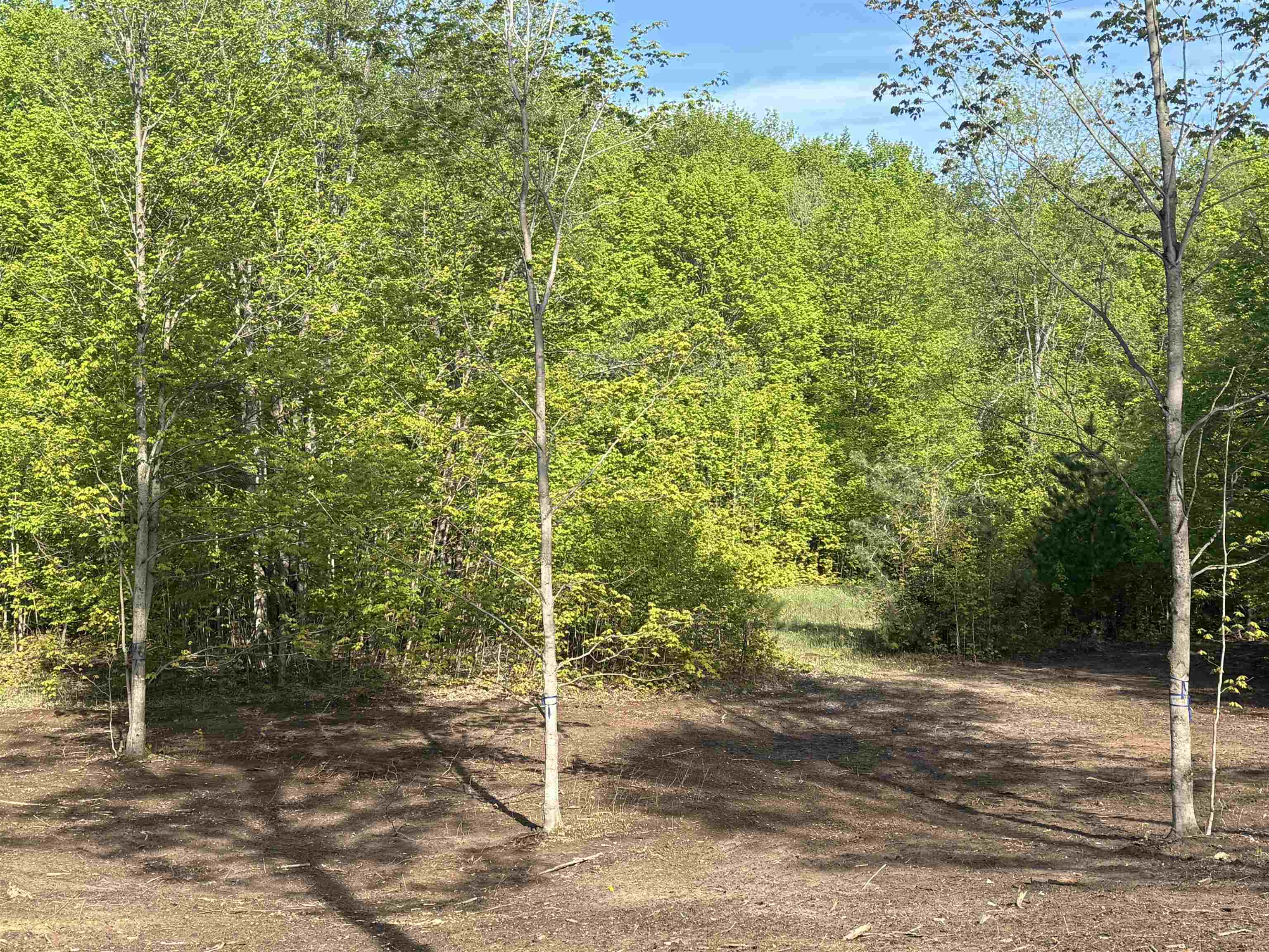 1453 E Solaris Way Property Photo 11