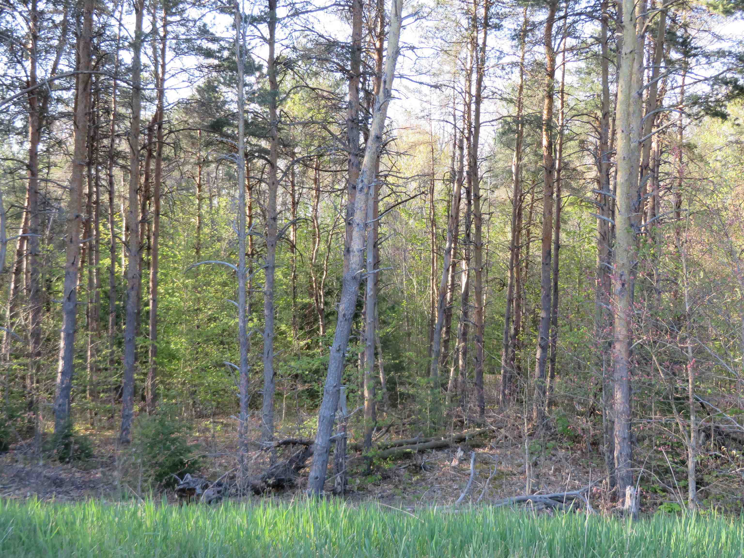 **** Poneytail Trail Property Photo 1