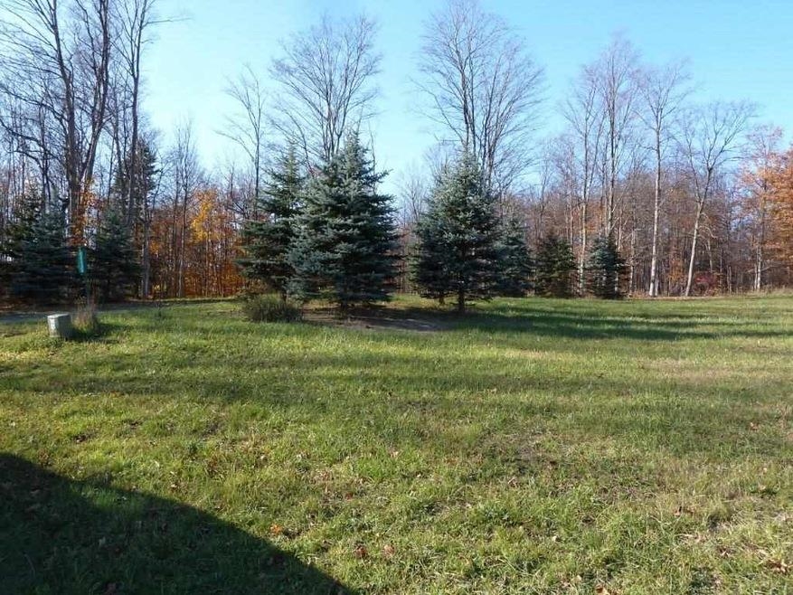 ***** Painted Pony Trail Property Photo 3